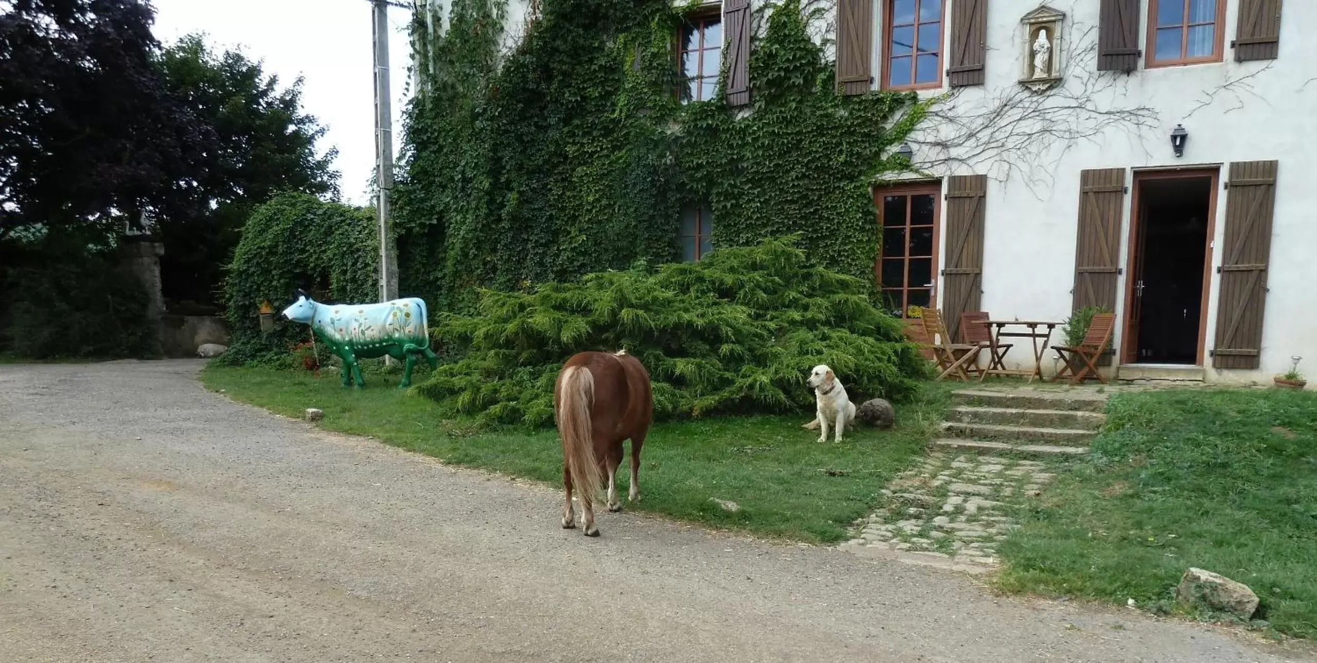 Facade/entrance, Pets in Ferme du Montheu