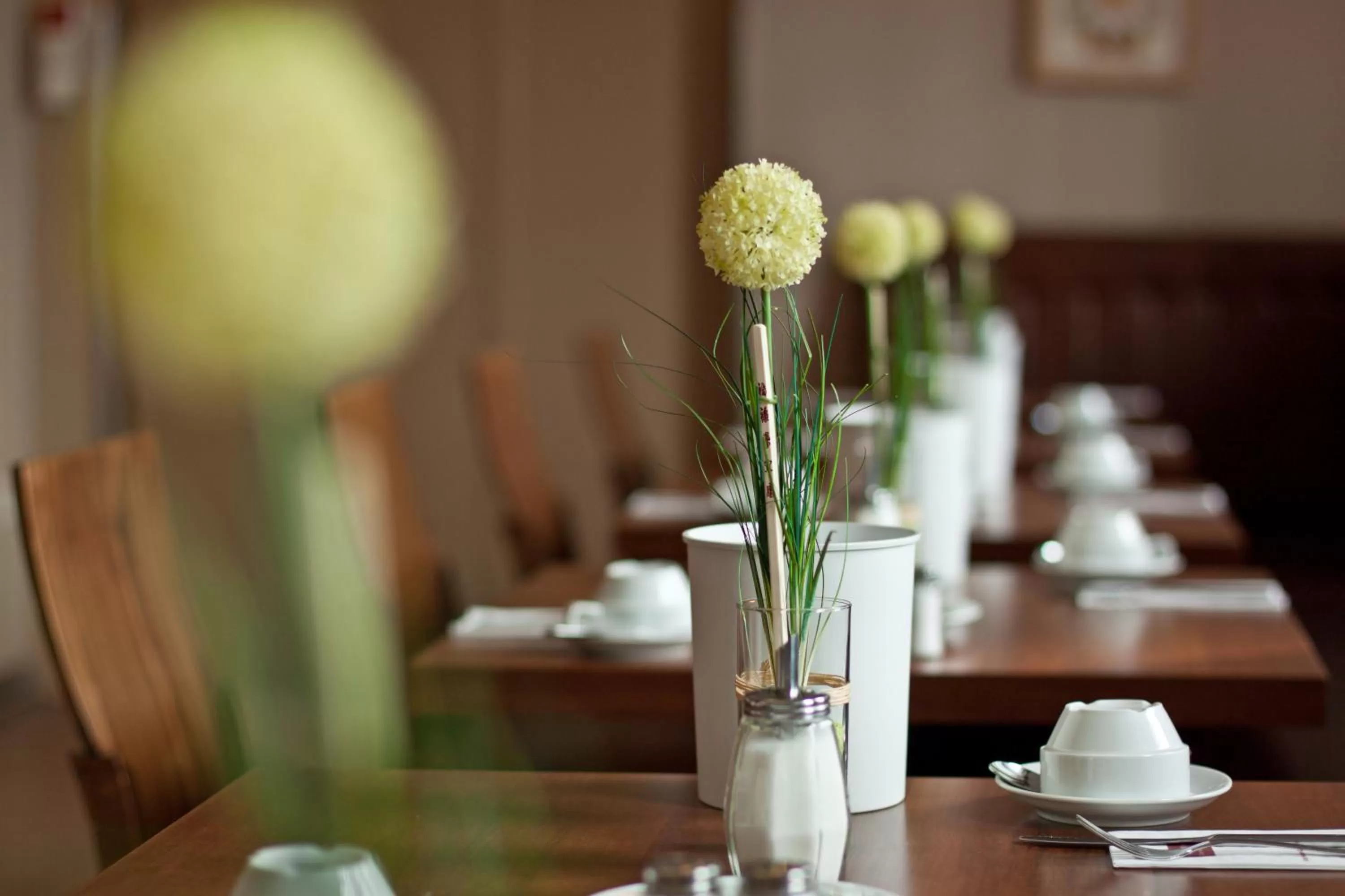 Restaurant/places to eat in Hotel Boulevard