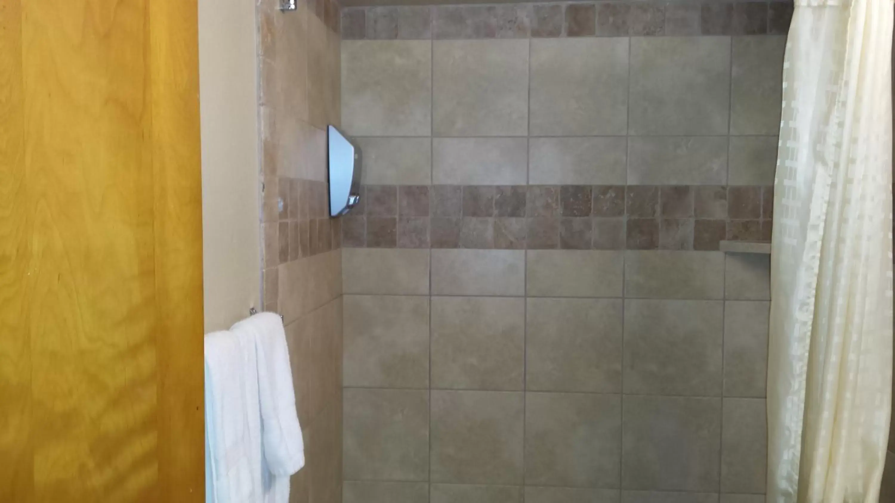 Shower, Bathroom in Downtown Value Inn