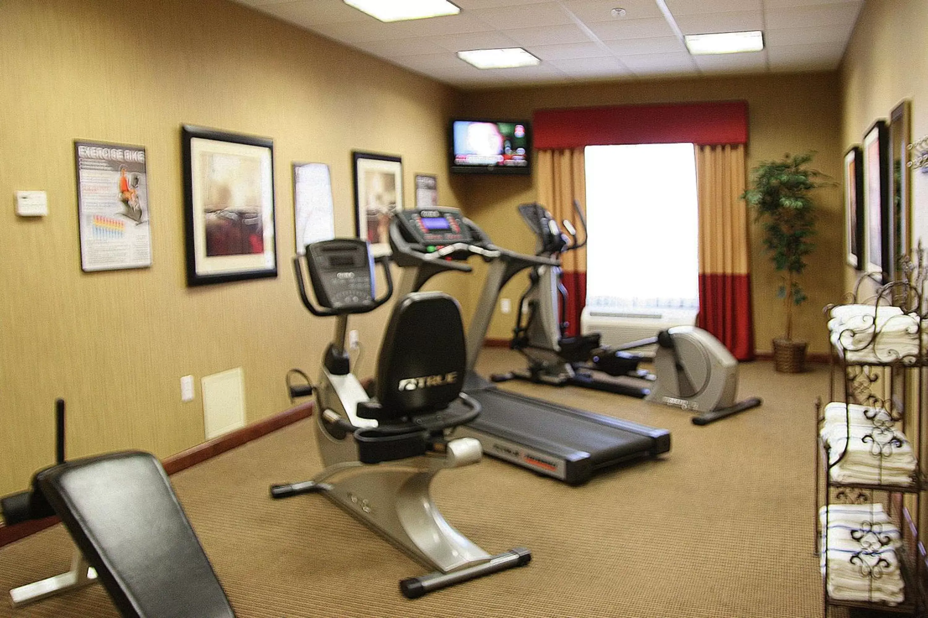 Fitness centre/facilities, Fitness Center/Facilities in Hampton Inn Dade City - Zephyr Hills