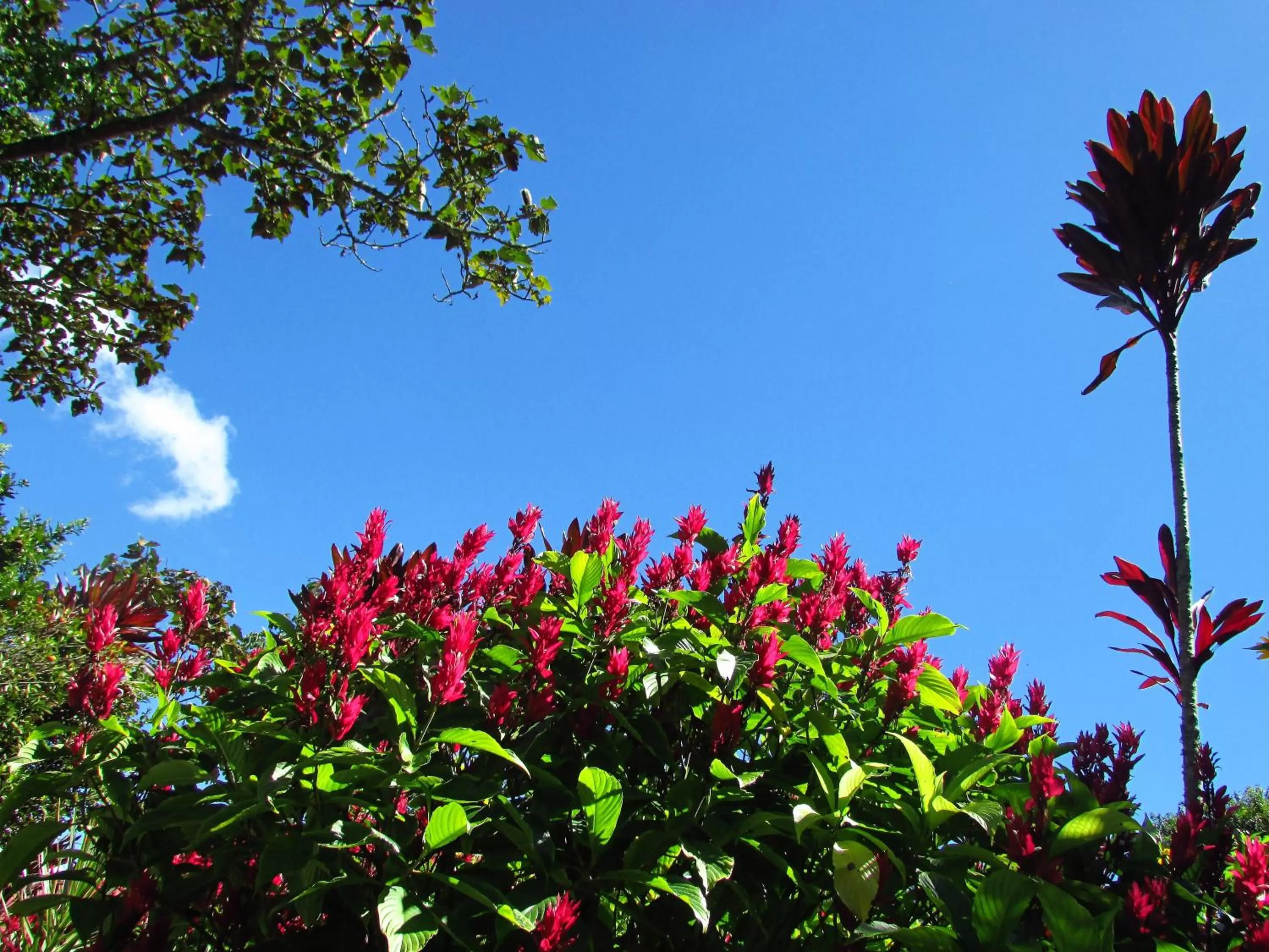 Day in Hotel La Casa de Francois