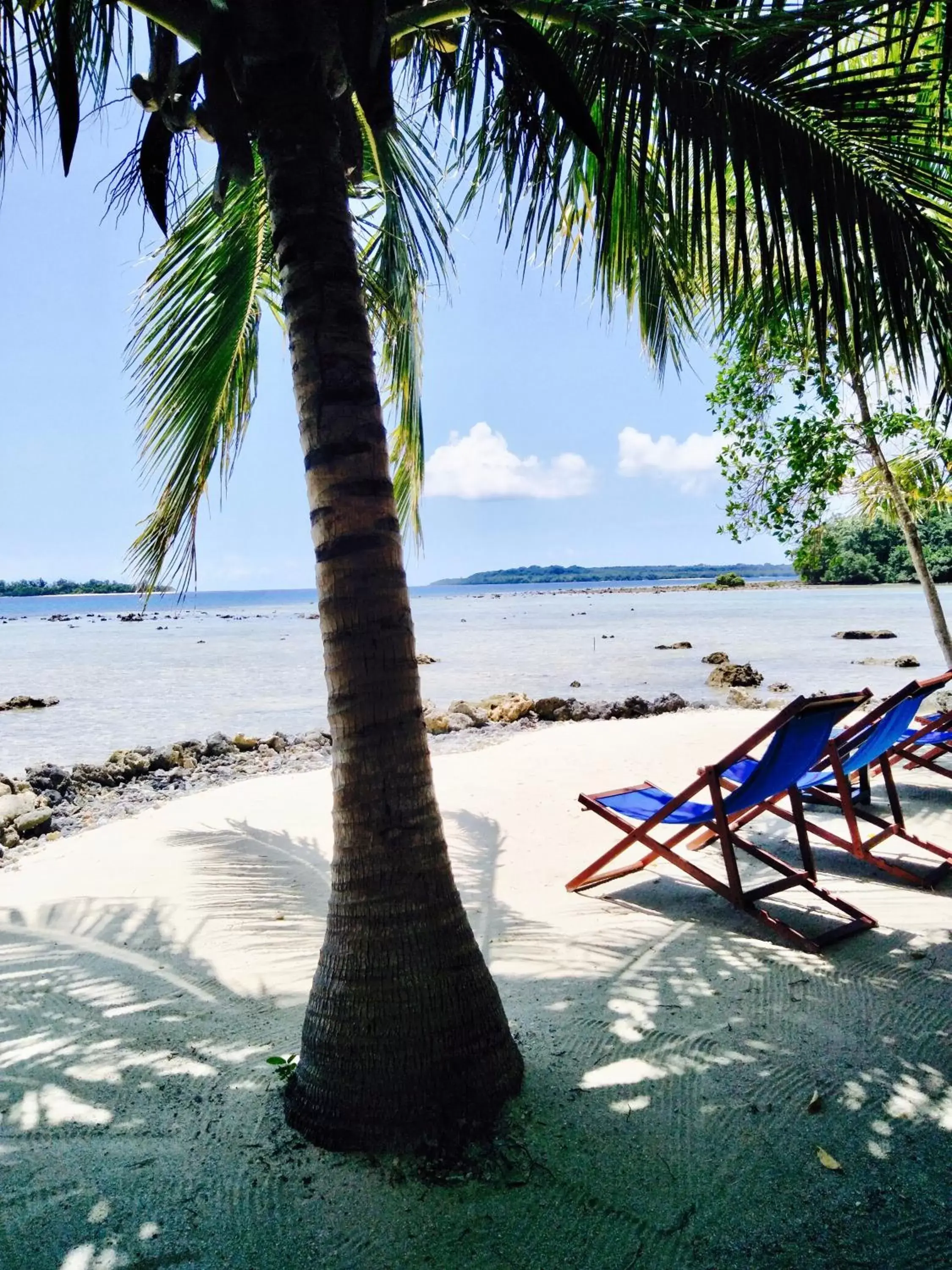 Sea view, Beach in Turtle Bay Lodge