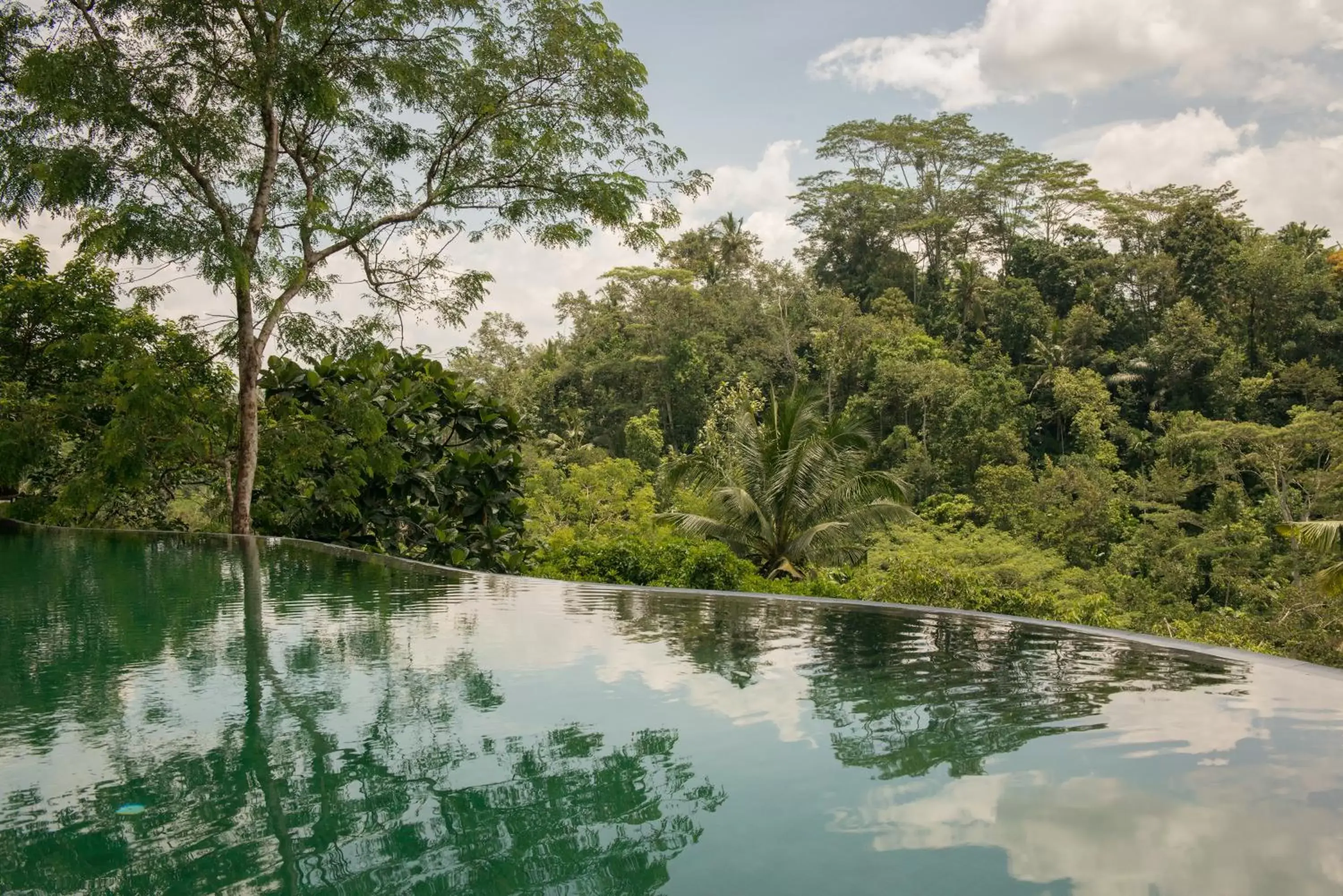 Pool view, Swimming Pool in Komaneka at Tanggayuda Ubud