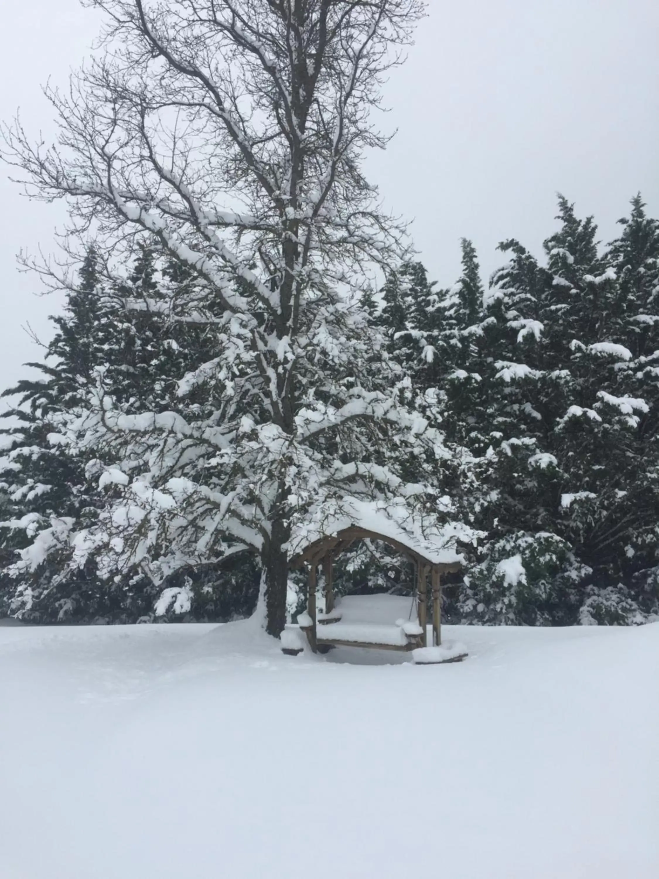 Winter in Mount Shasta Ranch Bed and Breakfast