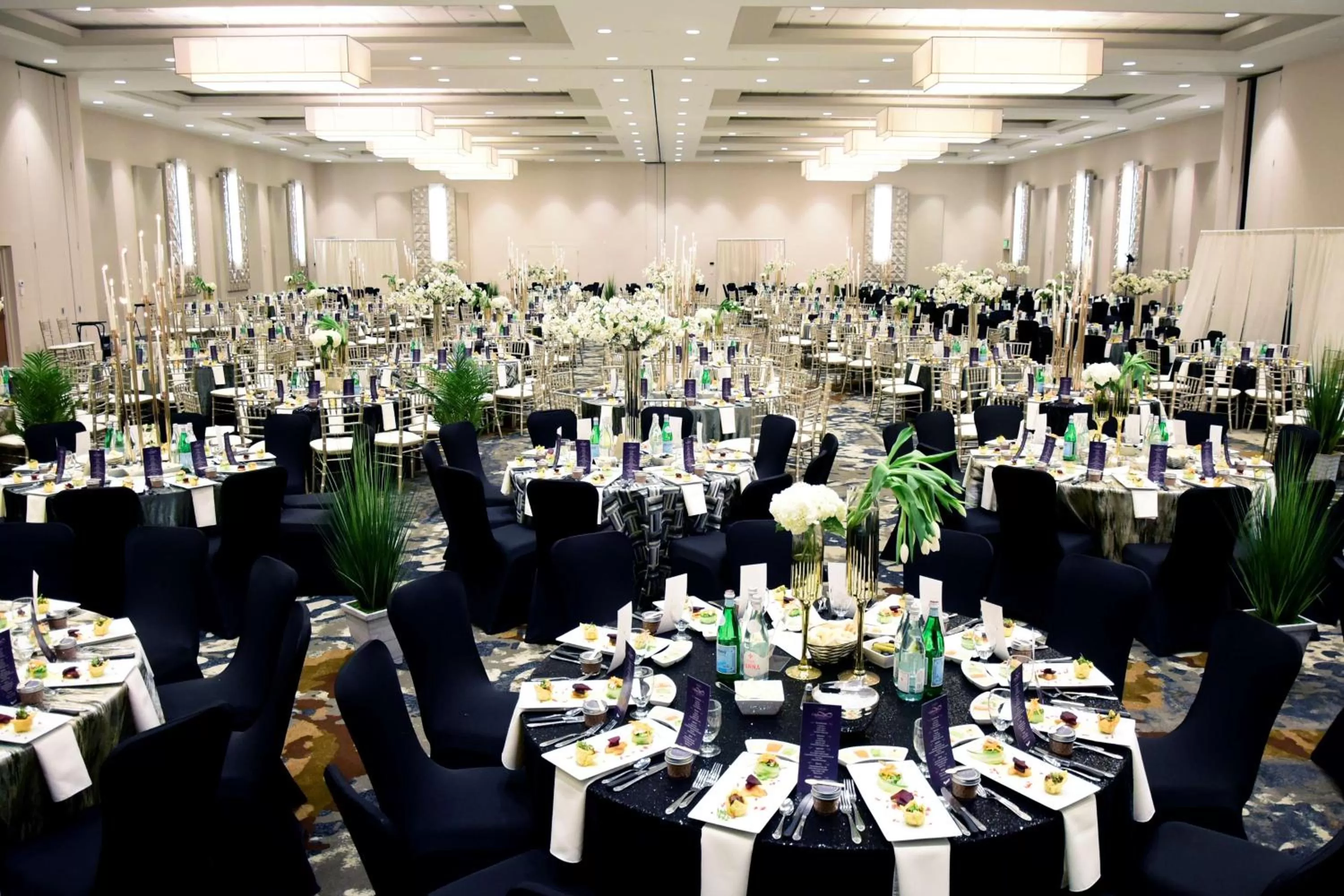 Meeting/conference room in DoubleTree By Hilton Baltimore North Pikesville