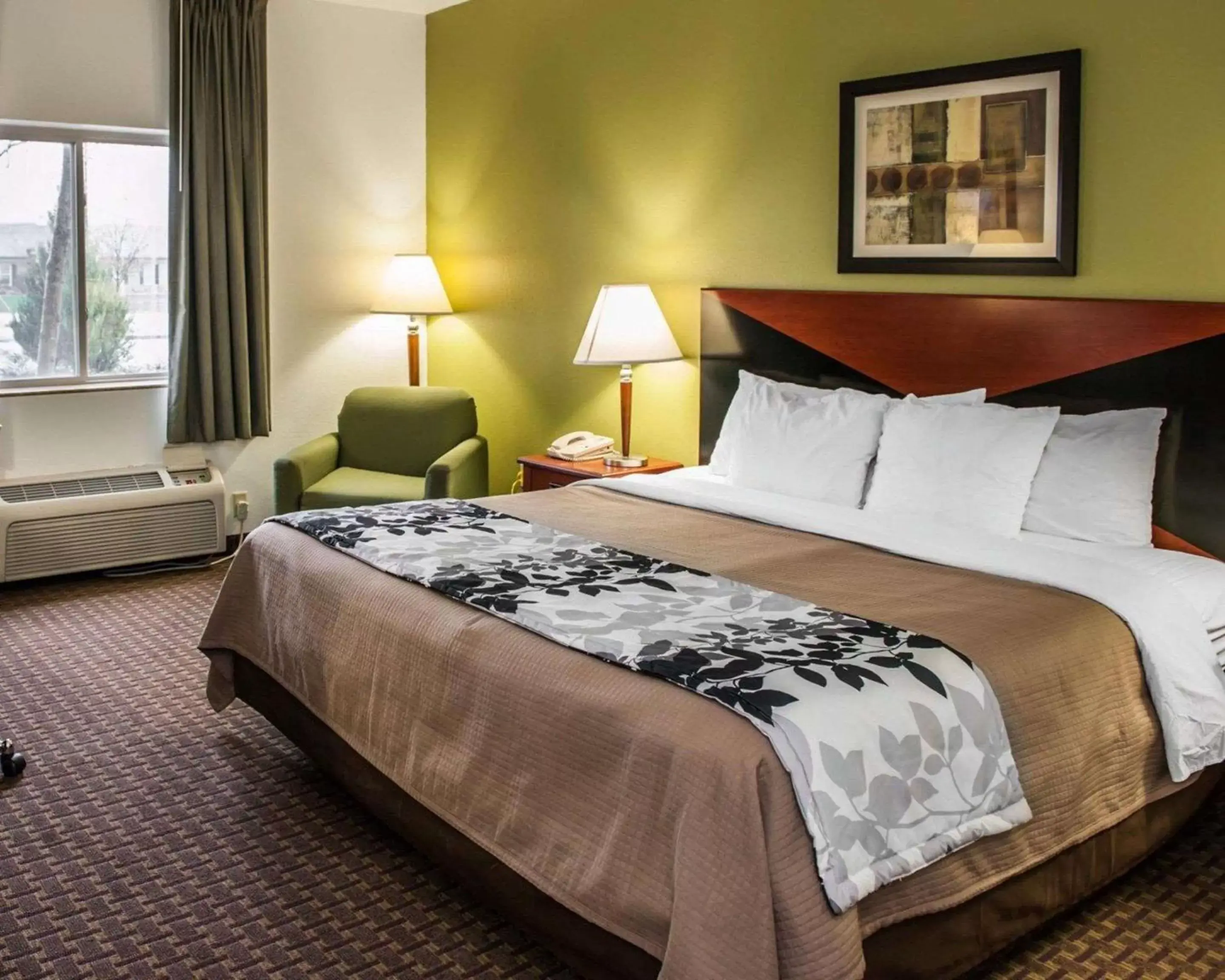 Photo of the whole room, Bed in Sleep Inn South Bend Airport