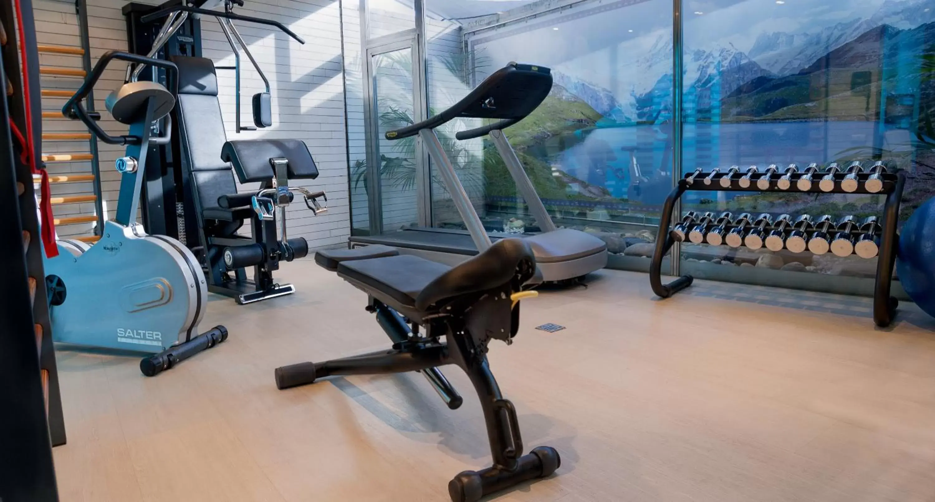Fitness centre/facilities, Fitness Center/Facilities in Abba Playa Gijón