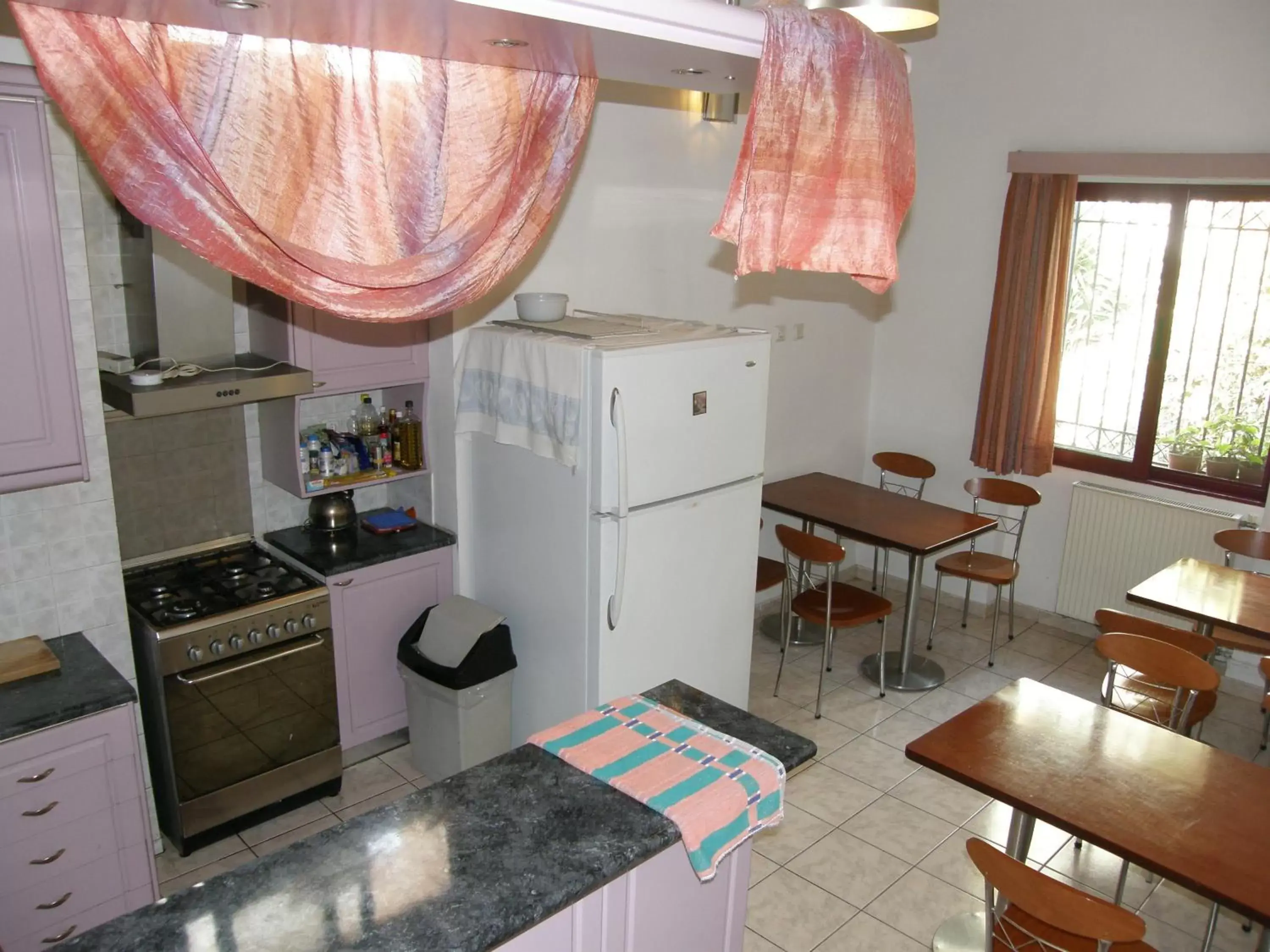 Kitchen or kitchenette, Kitchen/Kitchenette in Dryades & Orion Hotel