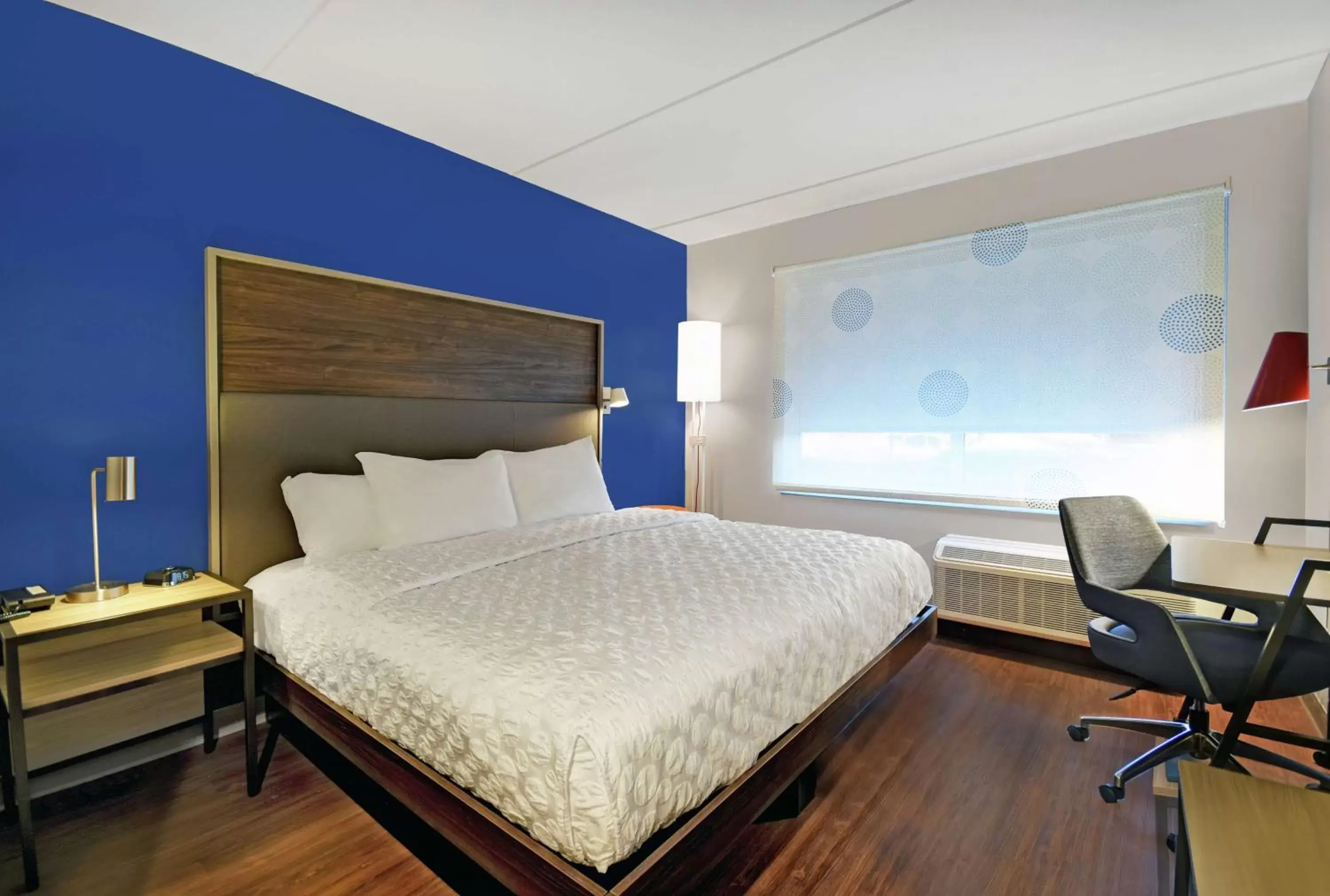 King Room in Tru By Hilton Burlington King Room in Tru By Hilton Burlington