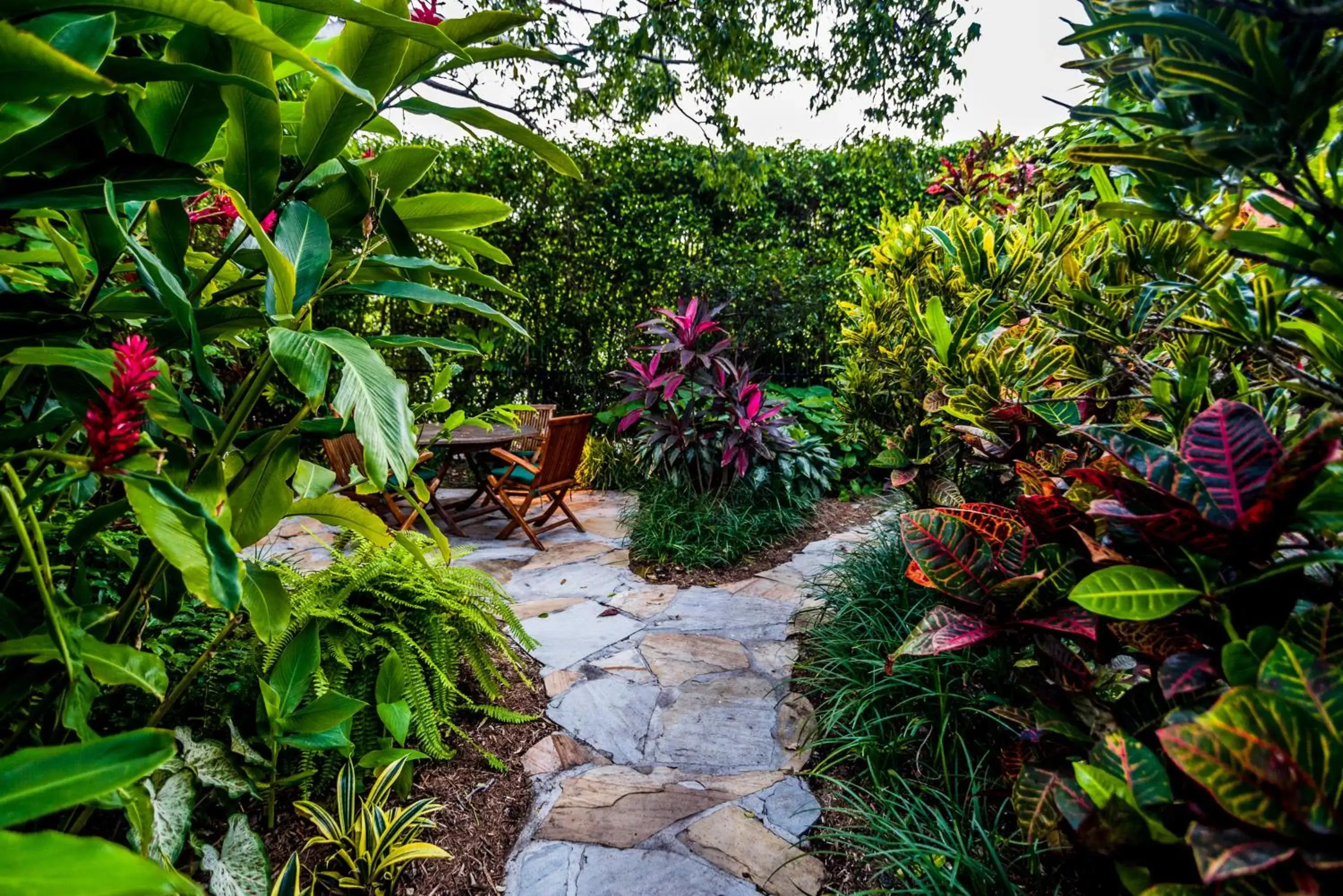 Garden in Crane's Beach House Boutique Hotel & Luxury Villas Garden in Crane's Beach House Boutique Hotel & Luxury Villas