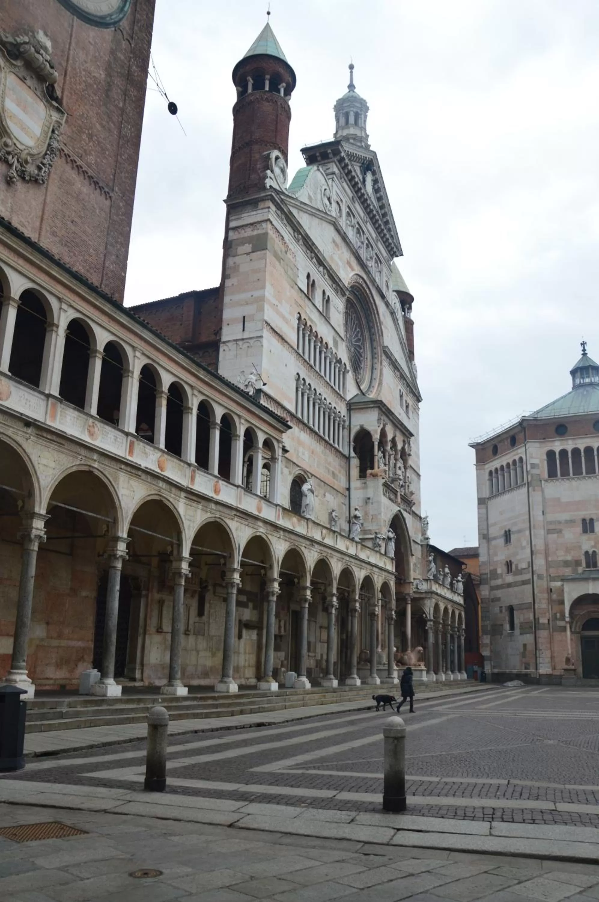 Area and facilities in Hotel Duomo Cremona