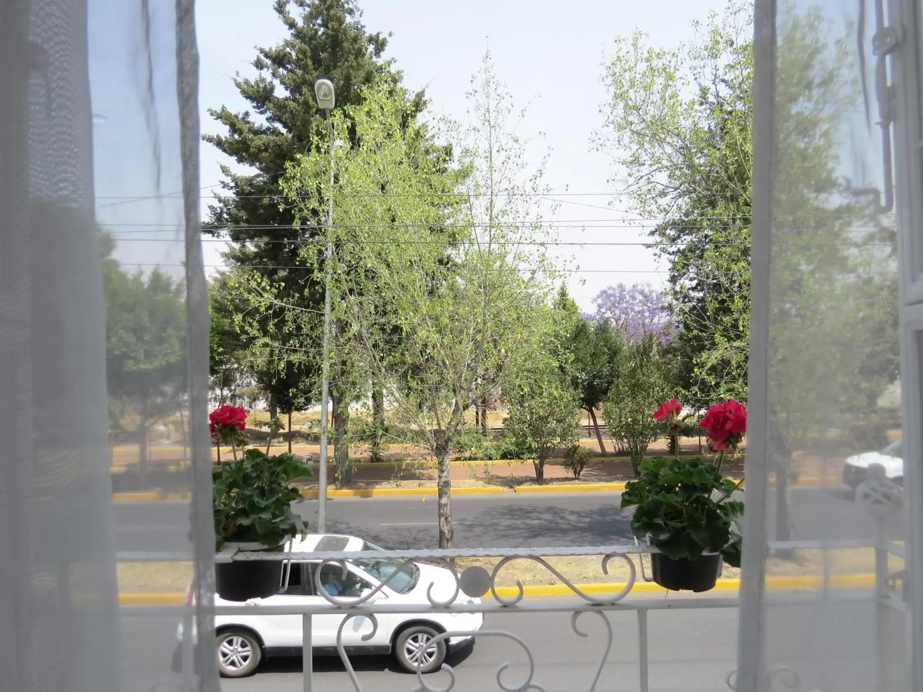 Street view in Hotel Royal Puebla Street view in Hotel Royal Puebla