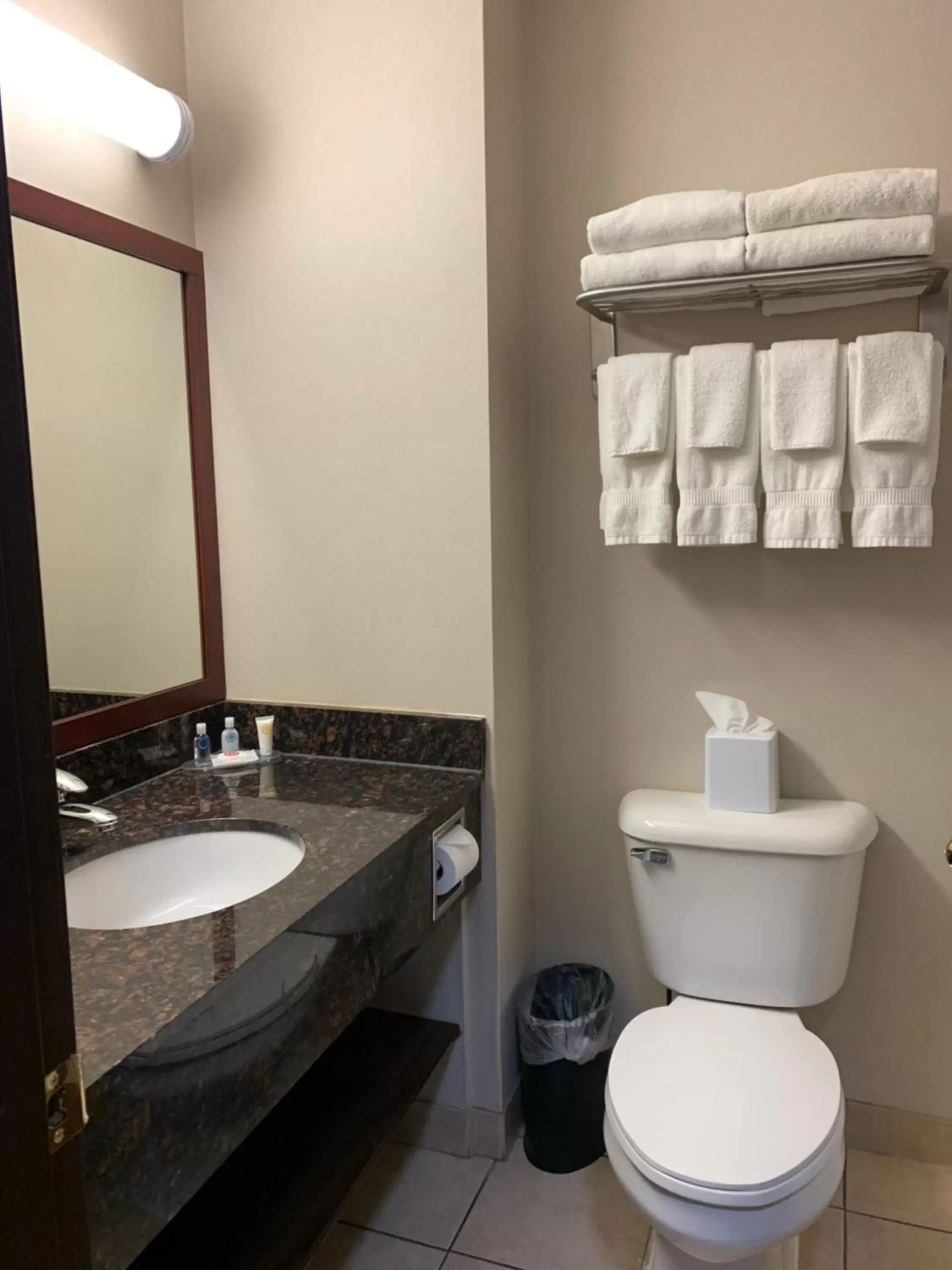 Bathroom in Comfort Inn