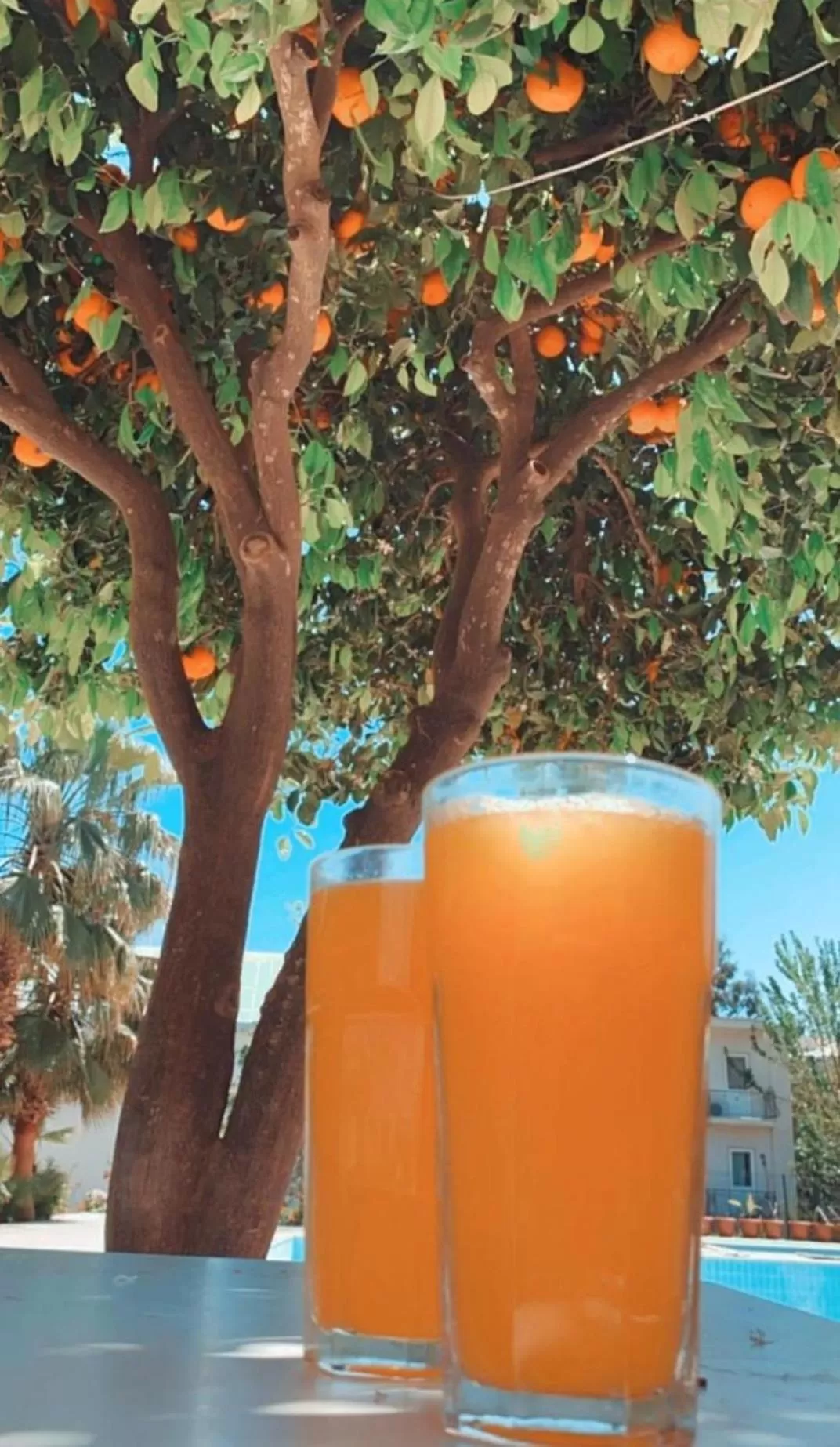 Restaurant/places to eat, Drinks in Kiriş Garden Hotel