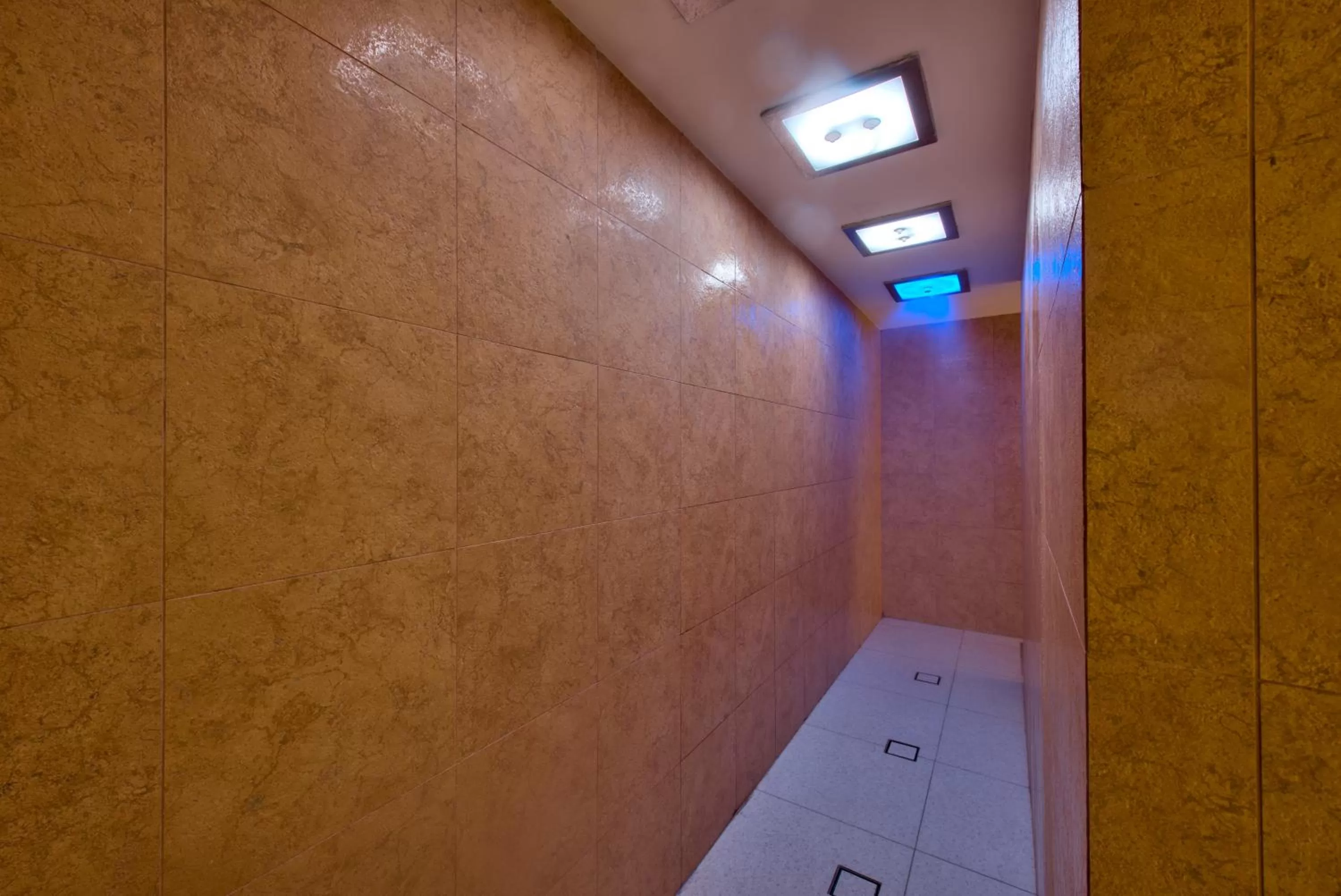 Spa and wellness centre/facilities in HOLM Boutique & SPA - IK Collection