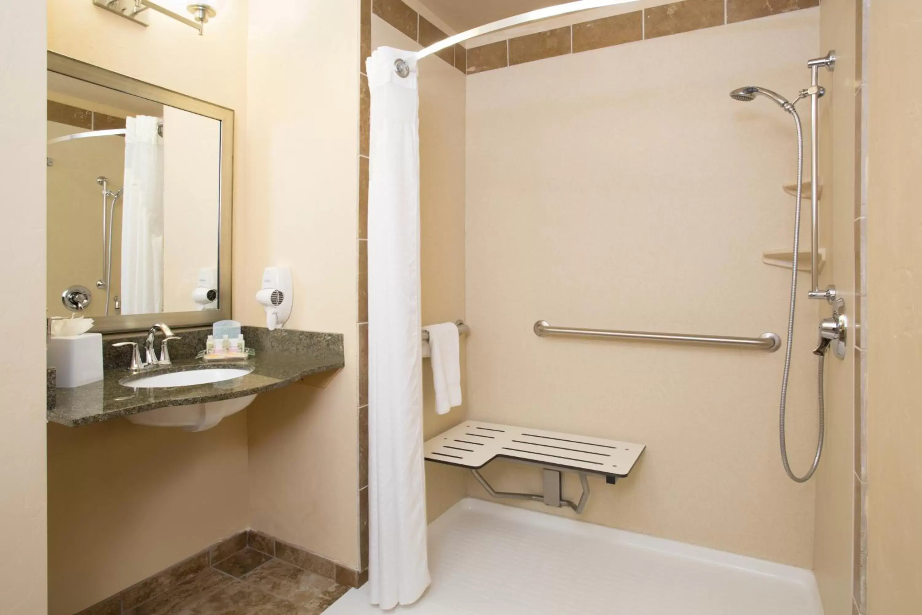 Bathroom in Holiday Inn & Suites Durango Downtown, an IHG Hotel