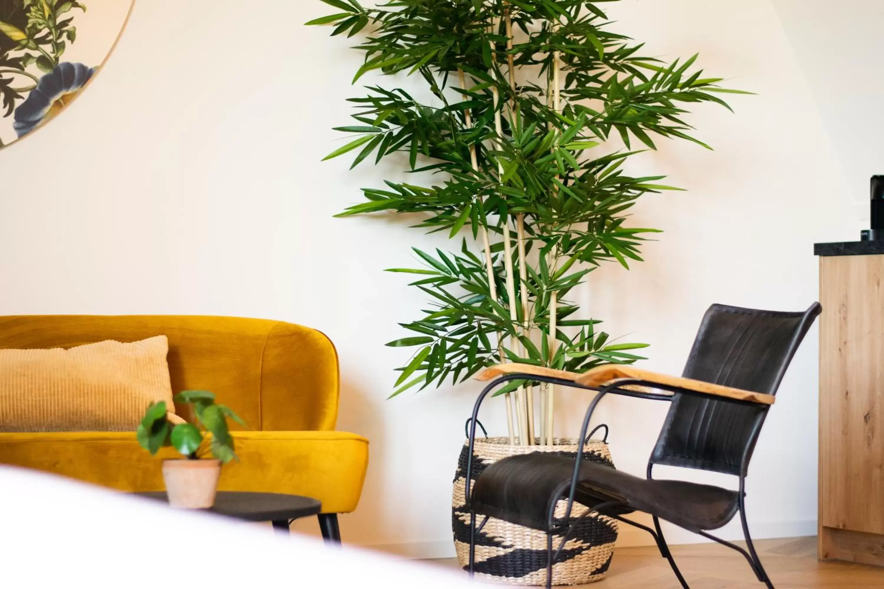 Junior Suite in Hotel van der Meer Junior Suite in Hotel van der Meer