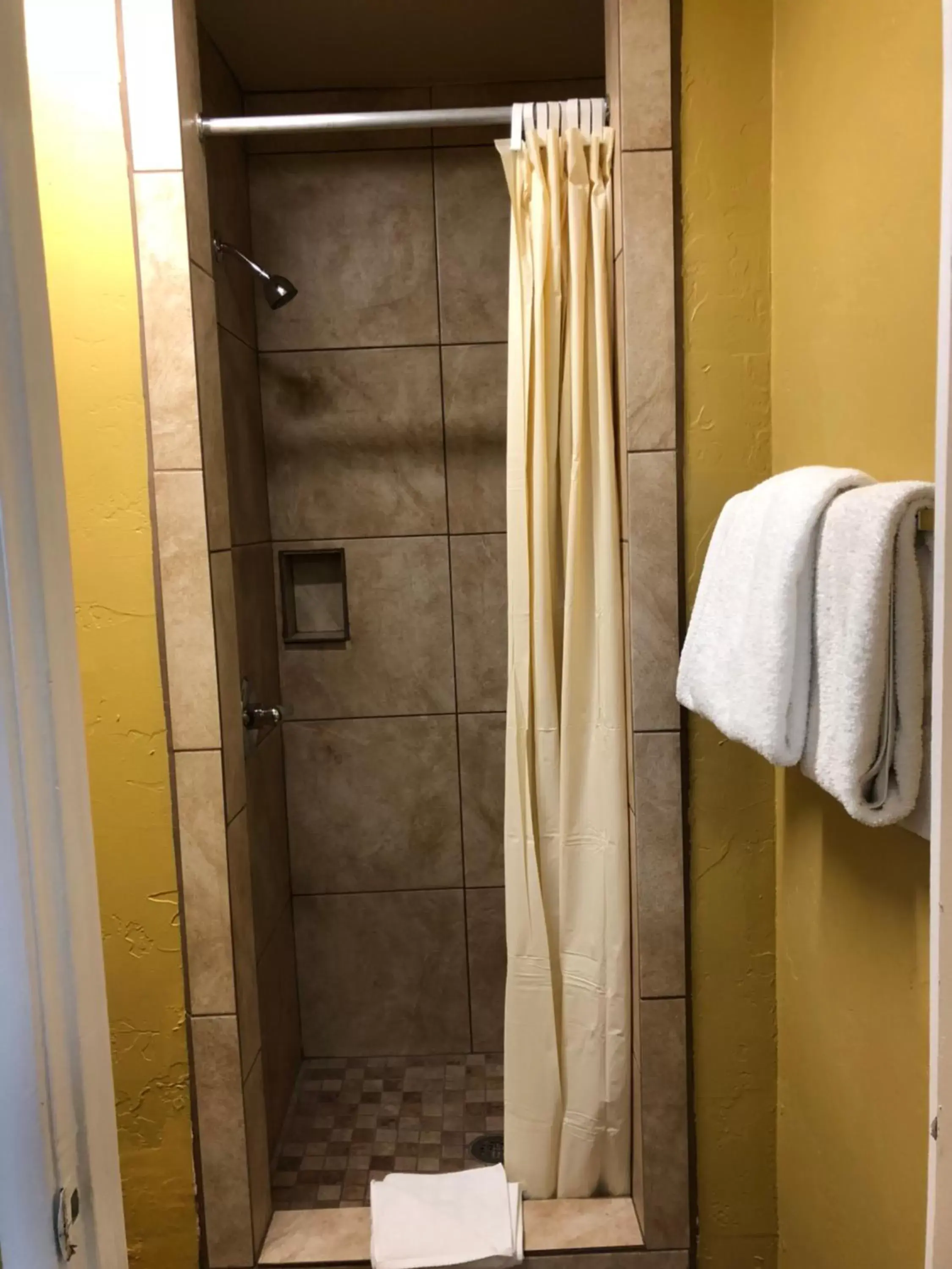 Shower, Bathroom in Holland Inn & Suites