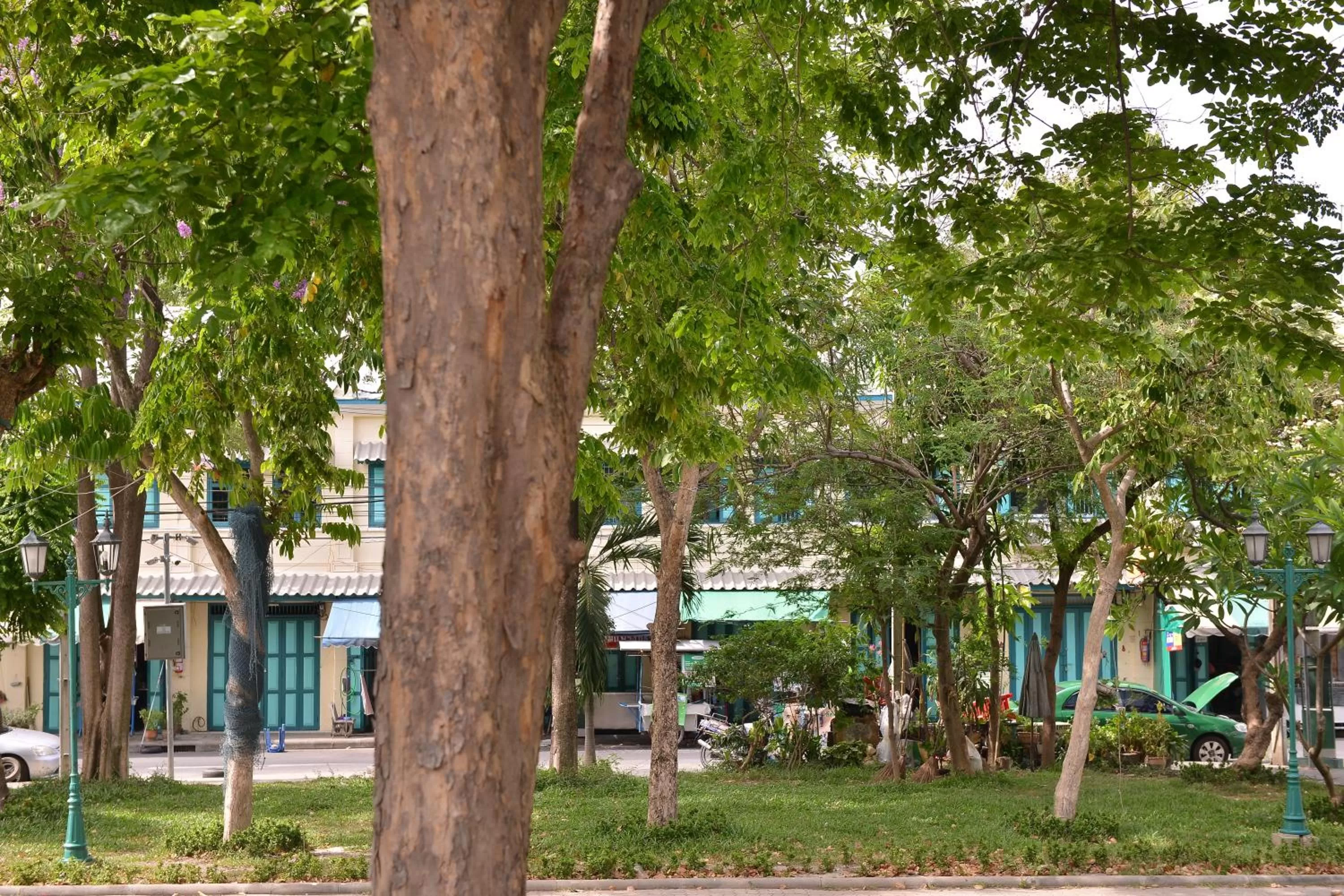 Natural landscape in Neighbor Phuthon