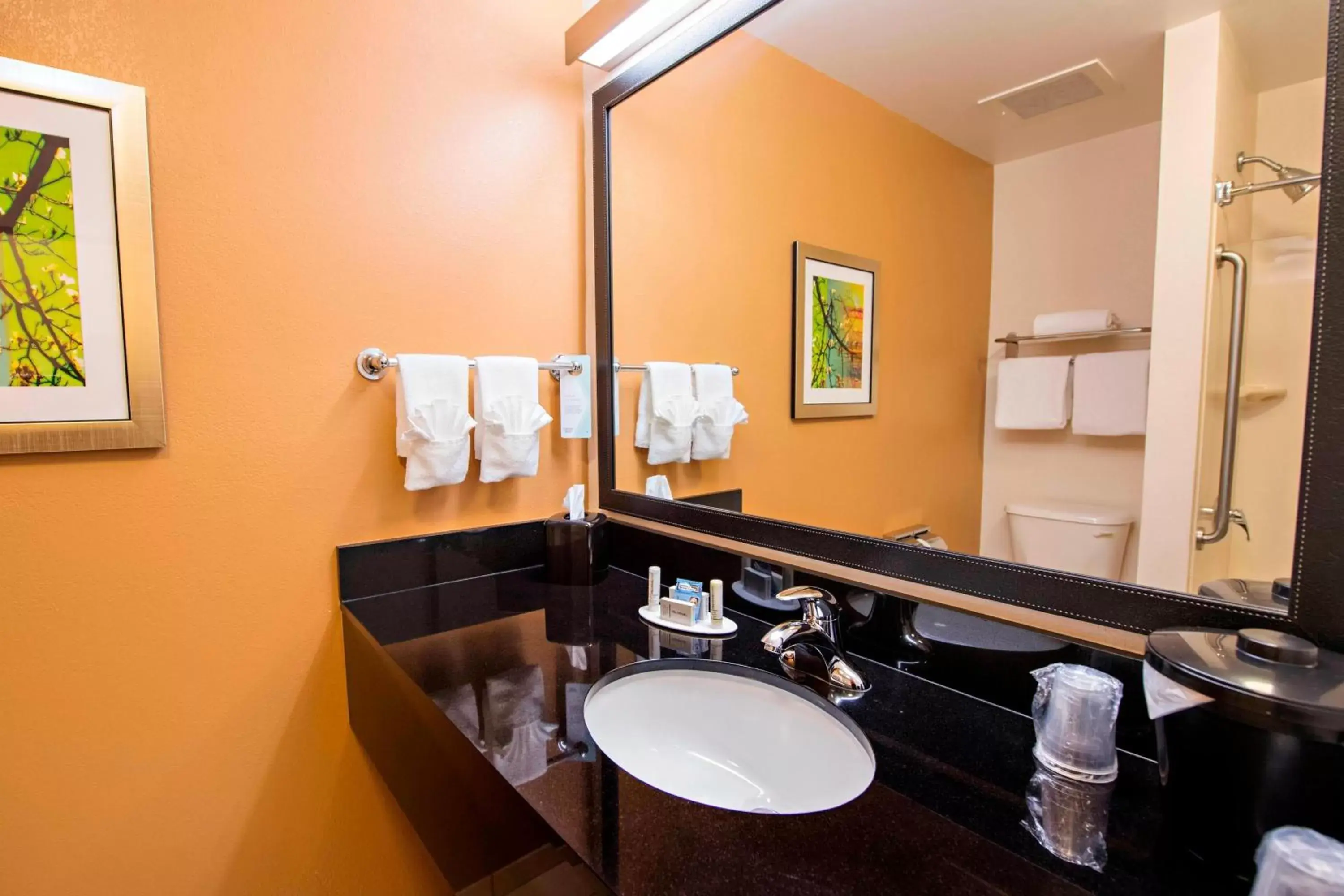 Bathroom in Fairfield Inn and Suites Charleston North/University Area