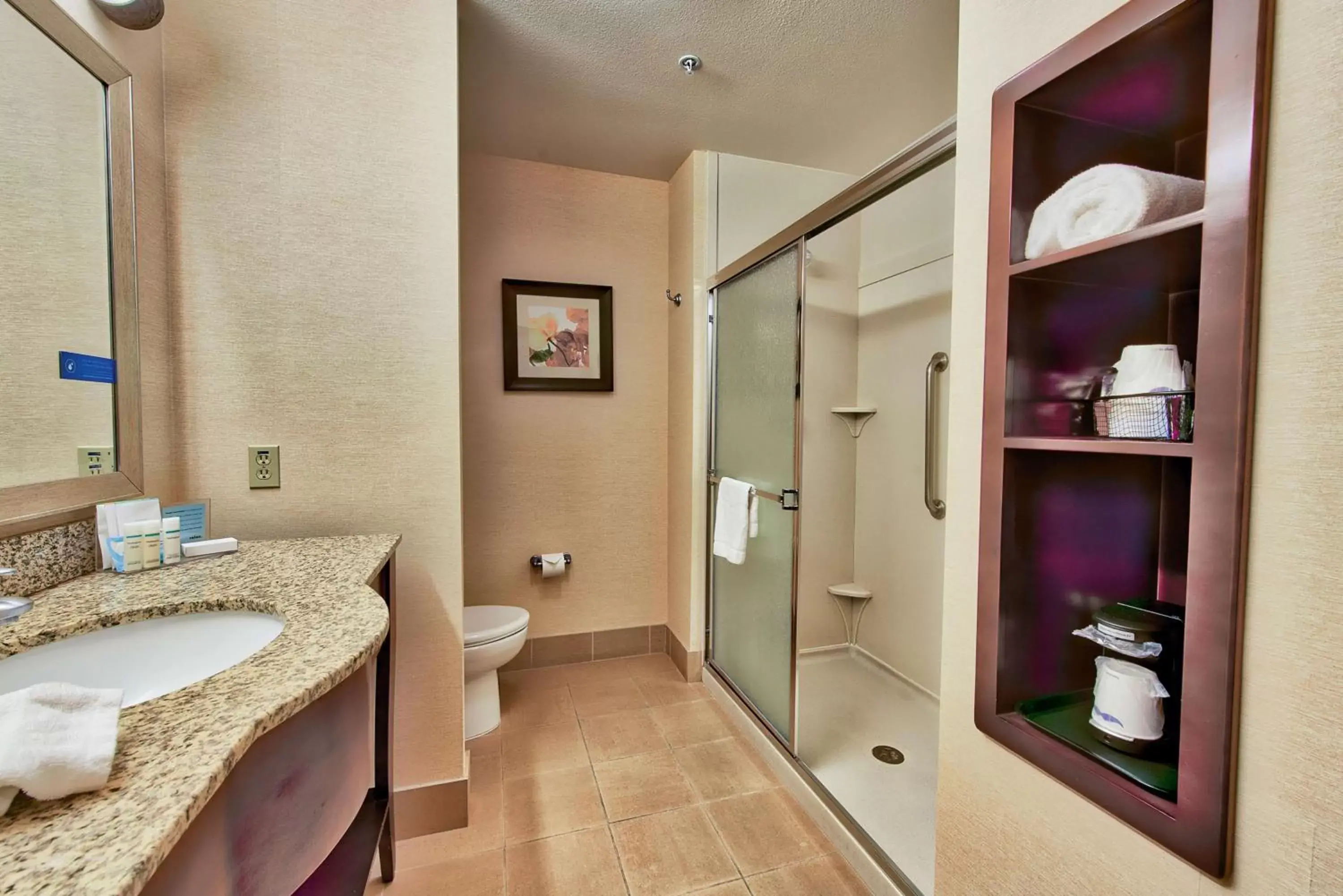 Bathroom in Hampton Inn & Suites Ridgecrest
