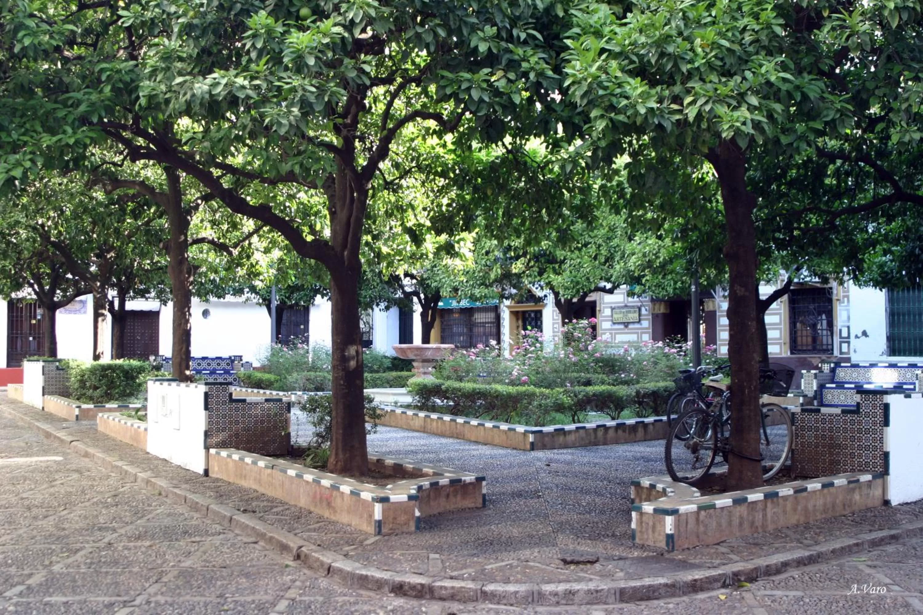 Nearby landmark in Hotel Doña Lina