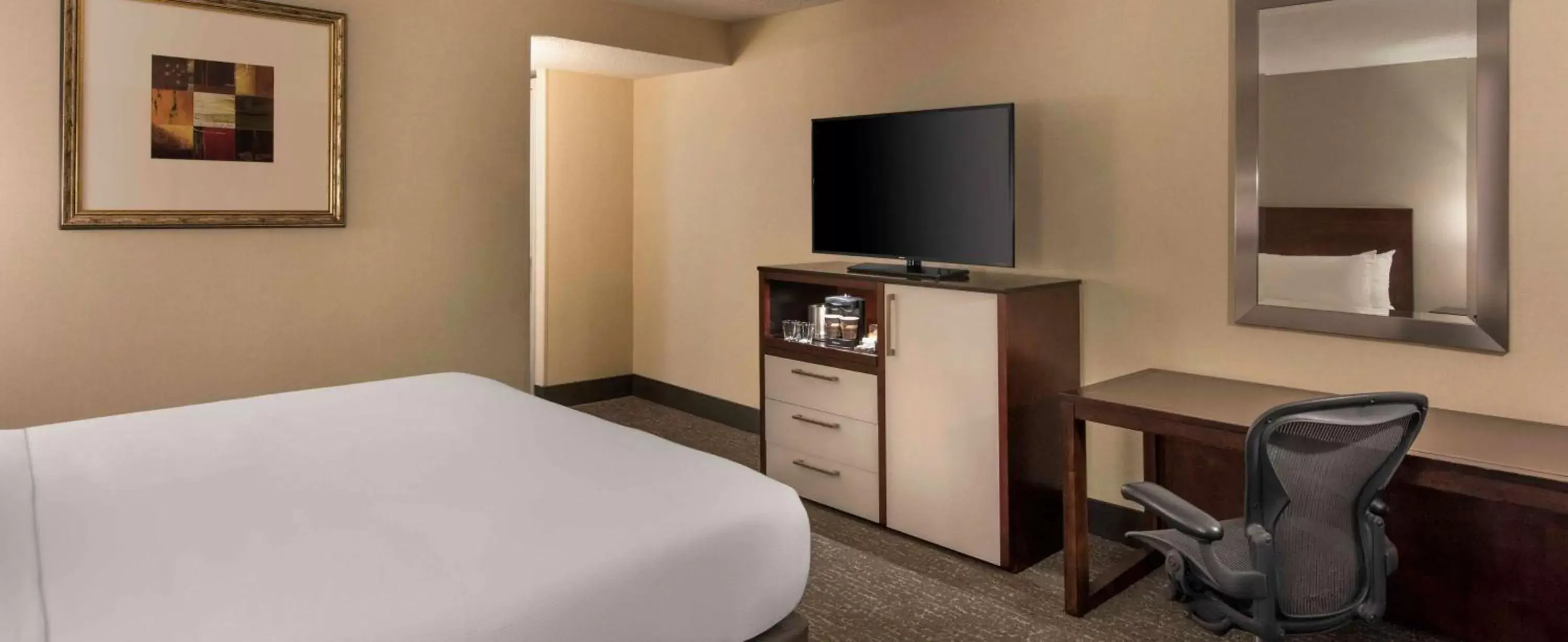 Bedroom, TV/Entertainment Center in DoubleTree by Hilton Hotel Chicago - Schaumburg