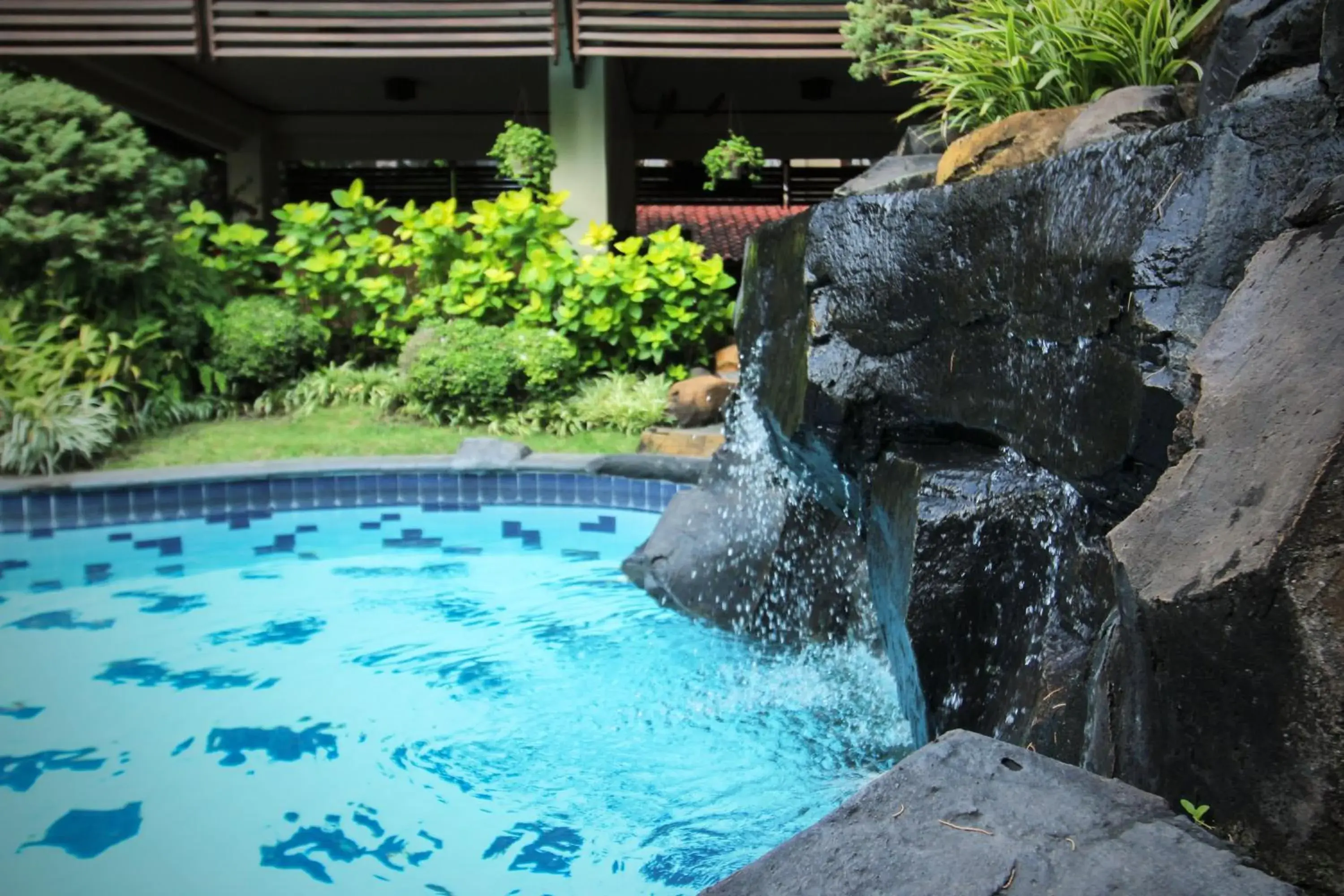 Garden, Swimming Pool in Duta Garden Hotel