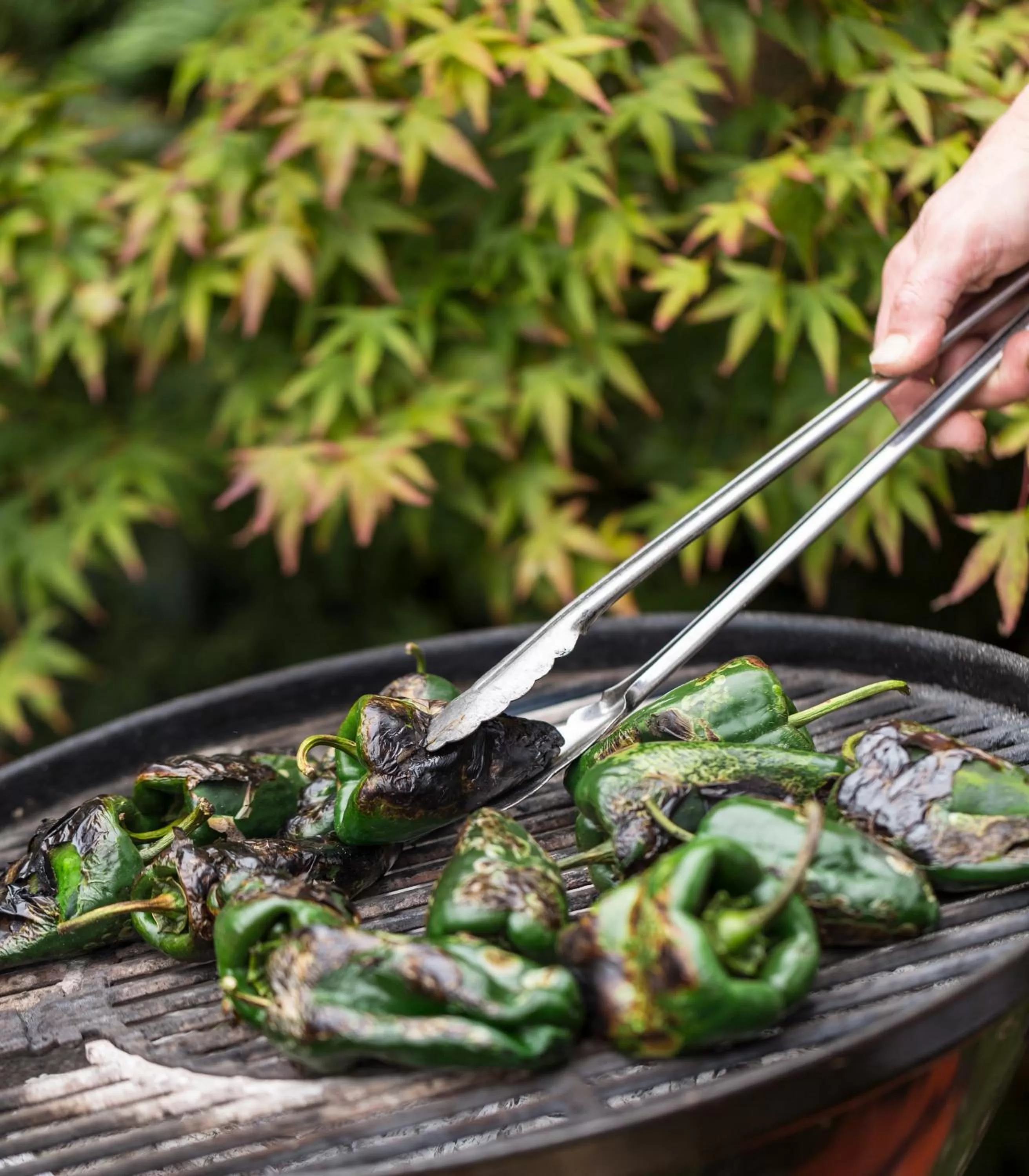 Restaurant/places to eat in Brewery Gulch Inn & Spa