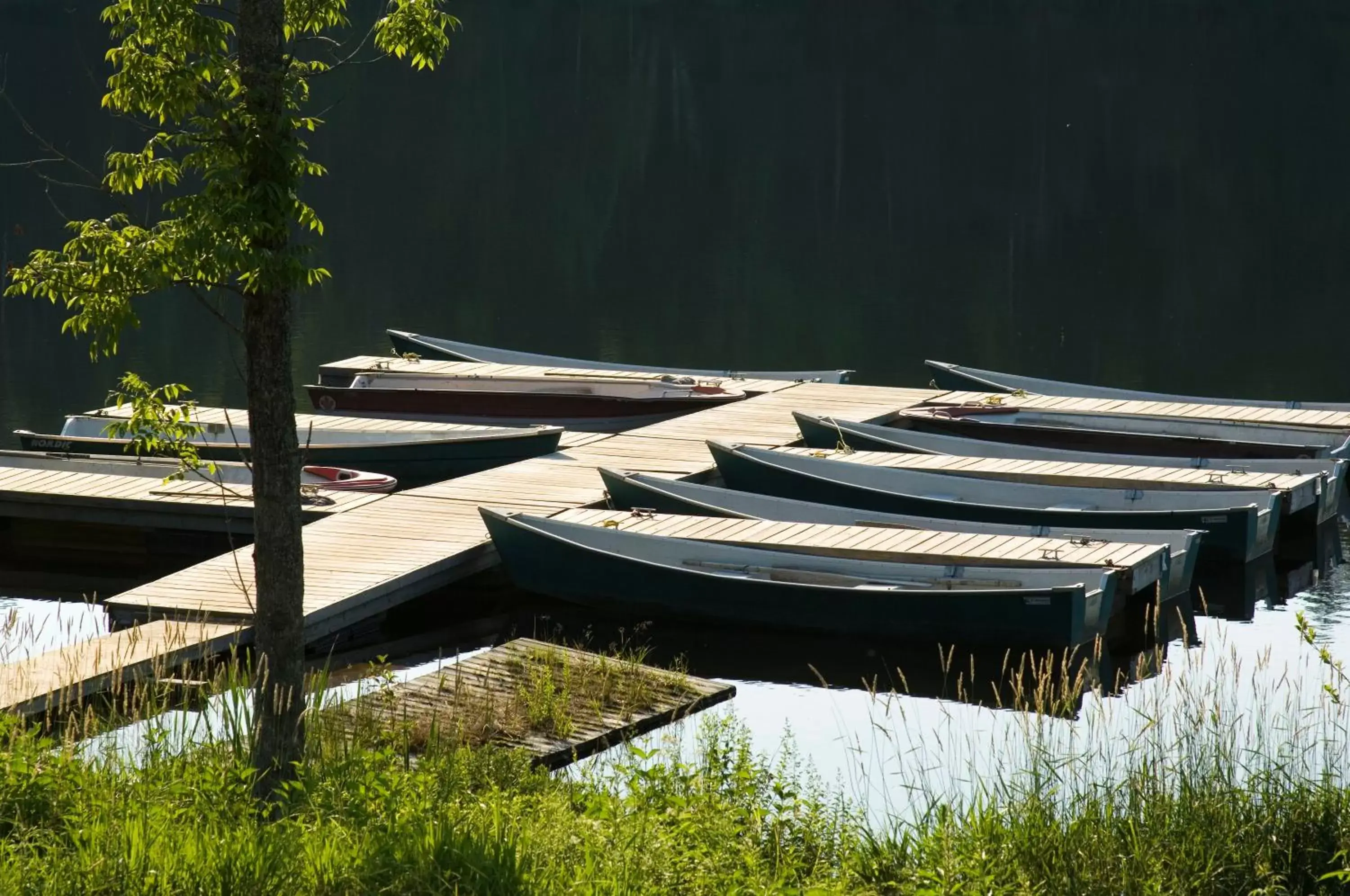 Fishing in Auberge du Lac-à-l'Eau-Claire