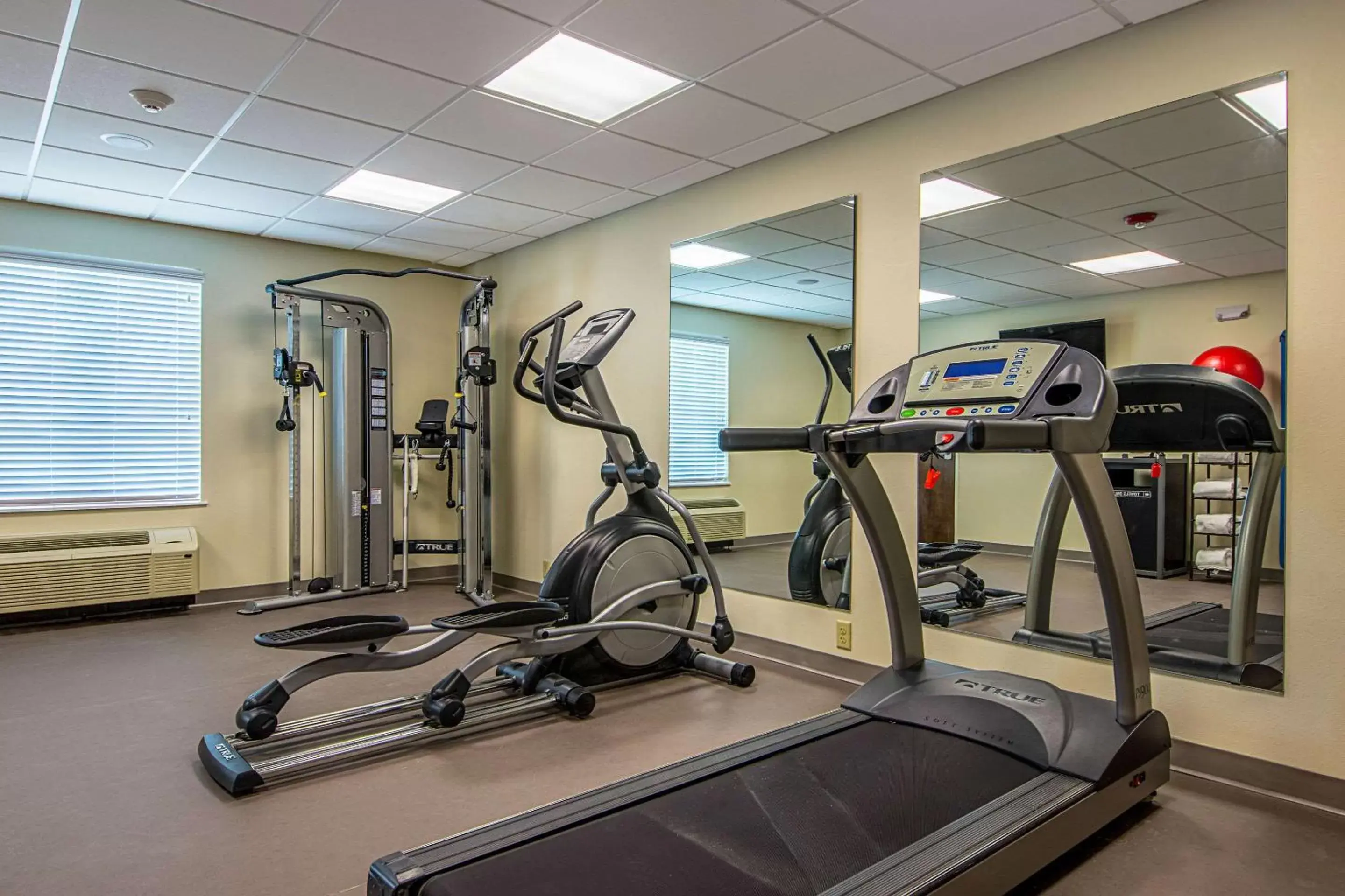 Fitness centre/facilities, Fitness Center/Facilities in MainStay Suites Geismar - Gonzales