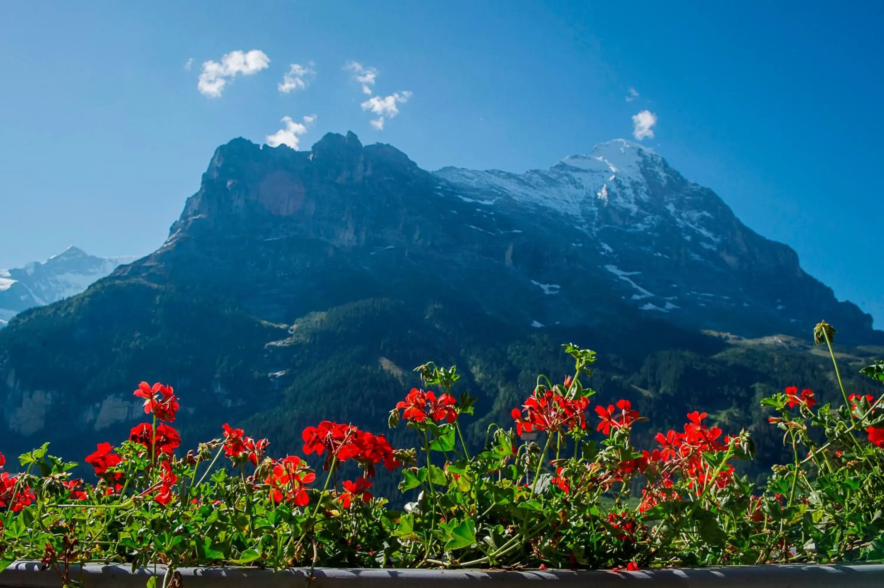 Natural landscape, Mountain View in Hotel Bernerhof Grindelwald