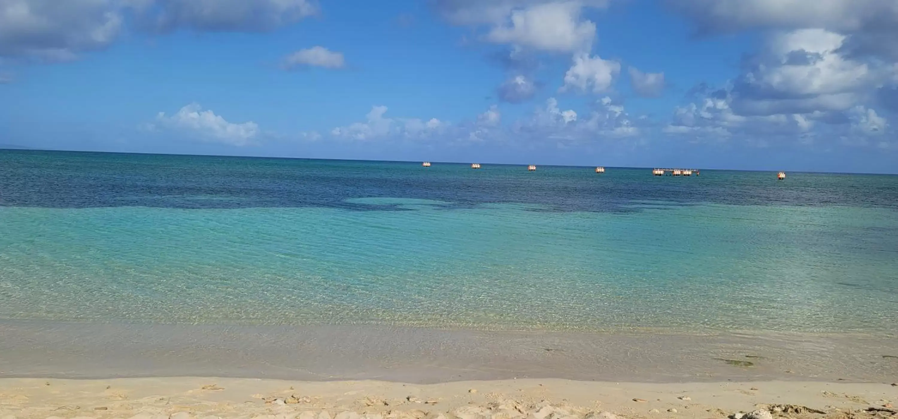 Beach in Airport Beach Hotel