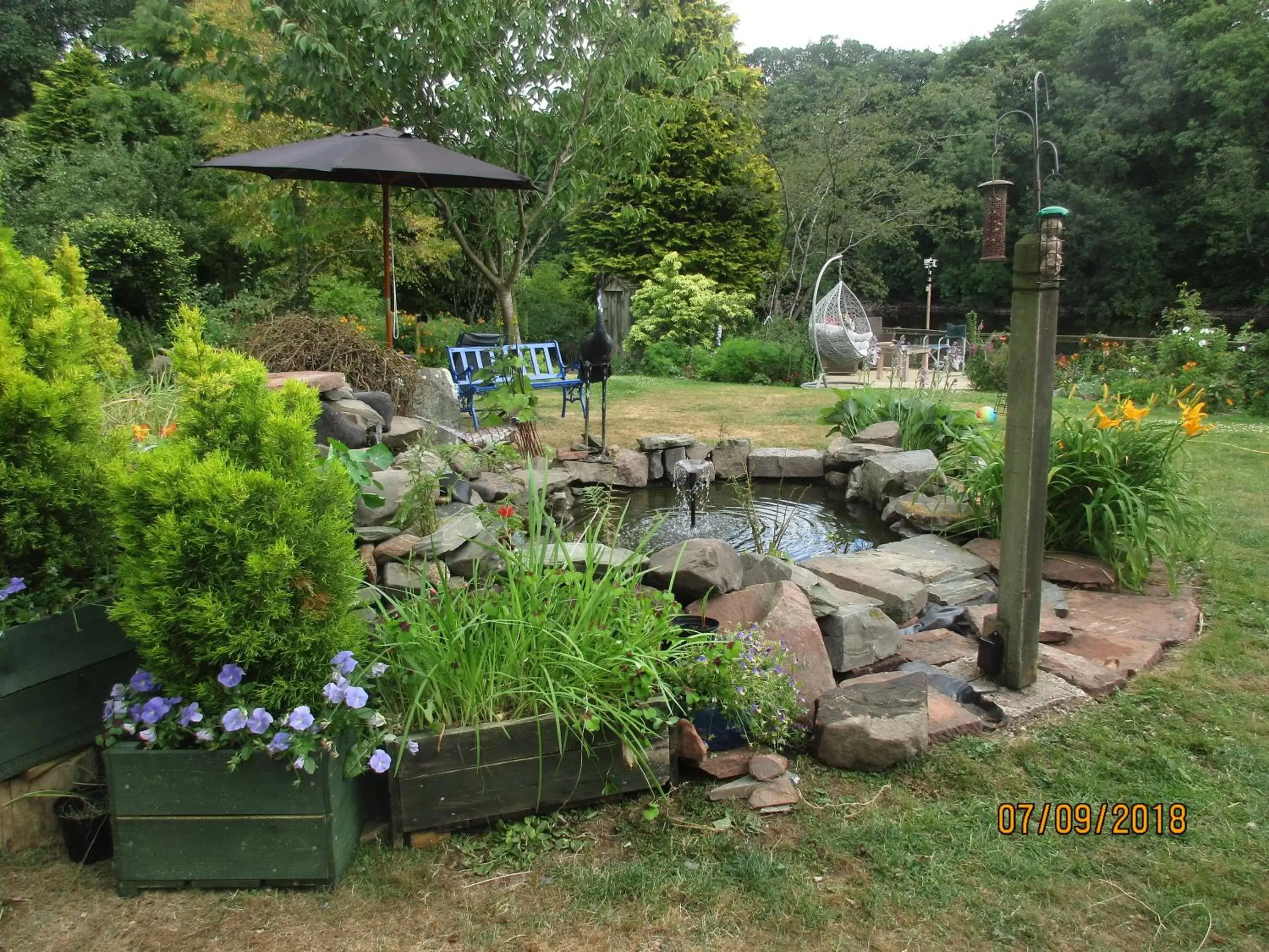 Garden in The Haven B&B