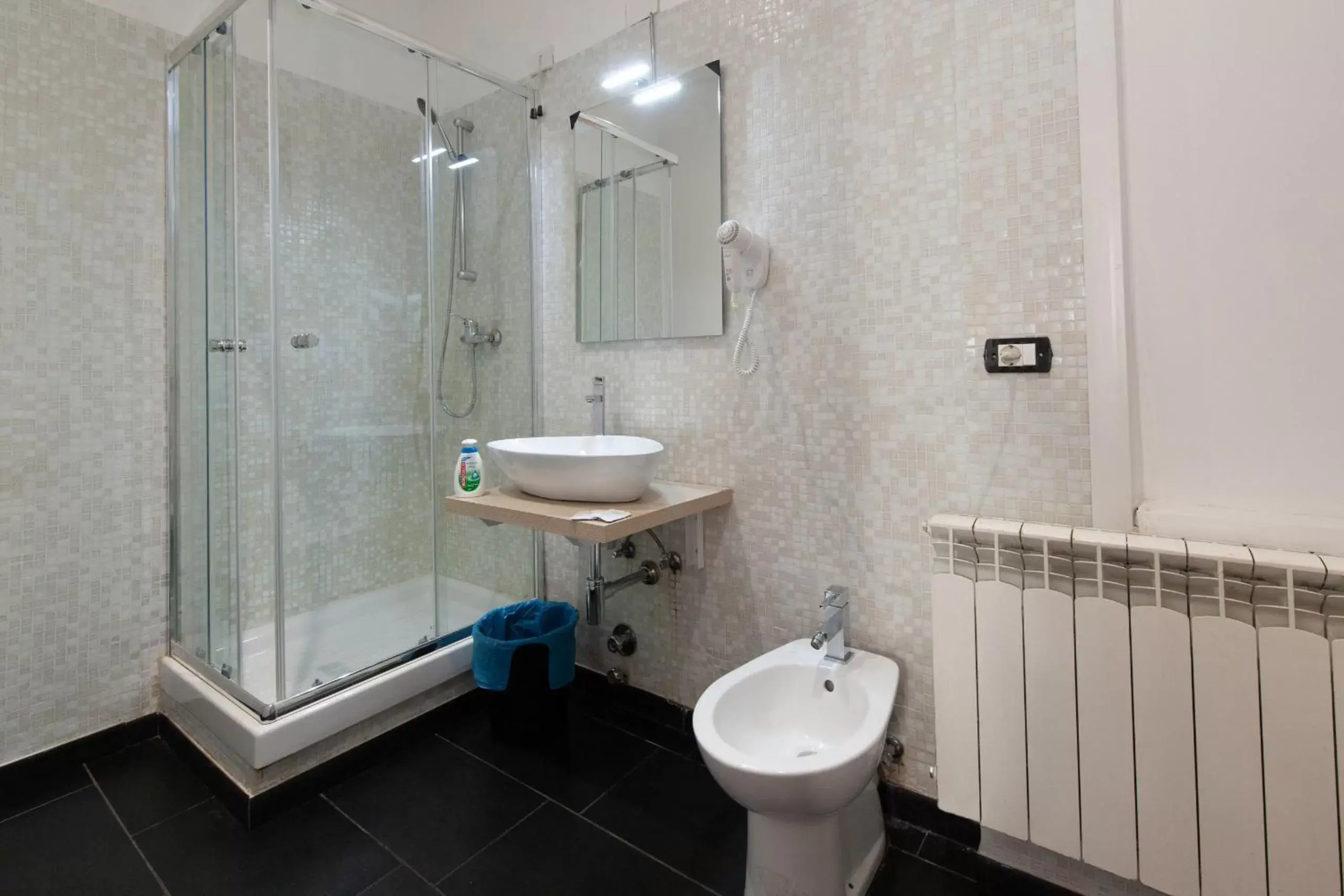 Area and facilities, Bathroom in Hotel Genziana