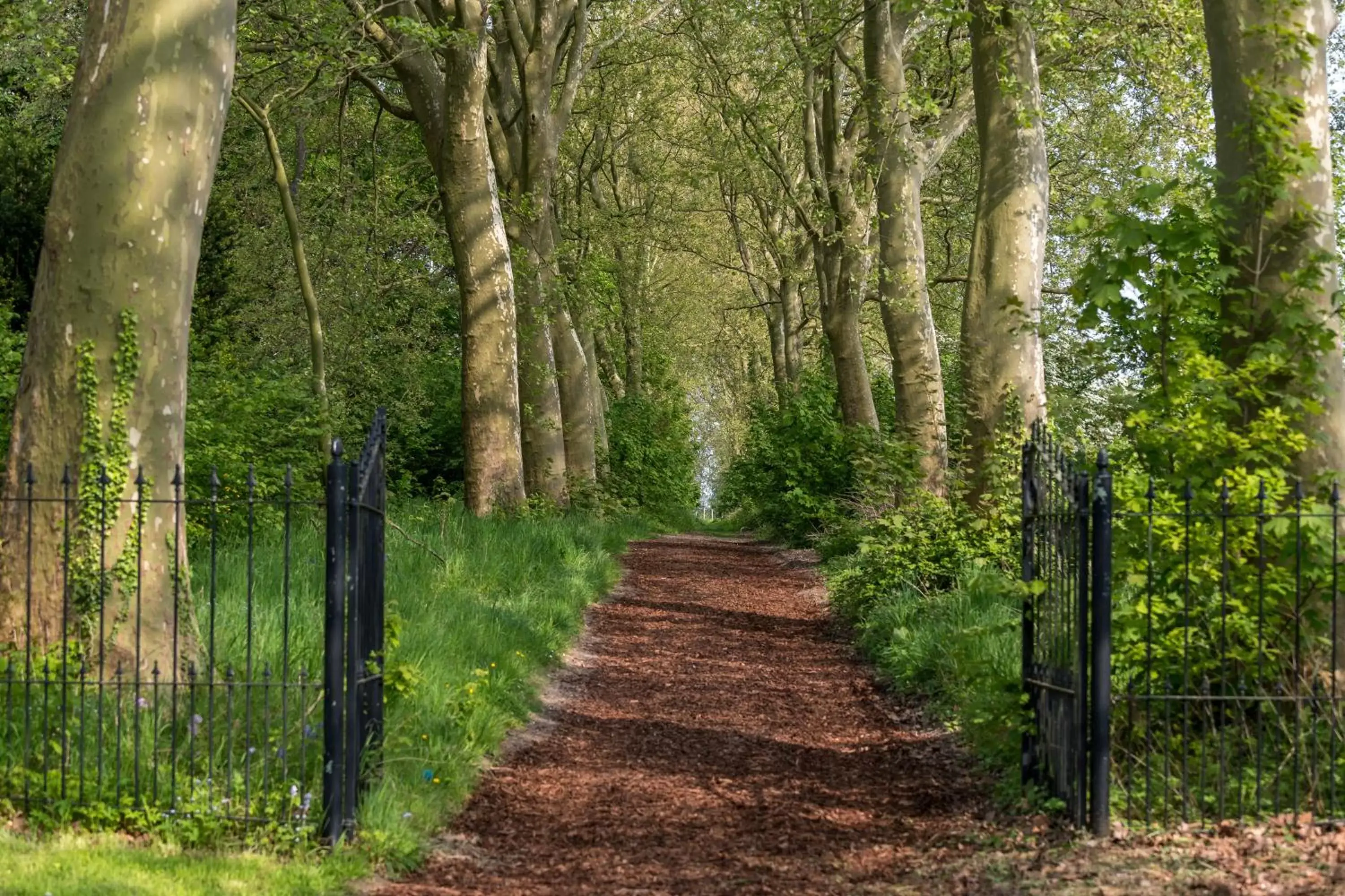 Natural landscape in Martin's Rentmeesterij