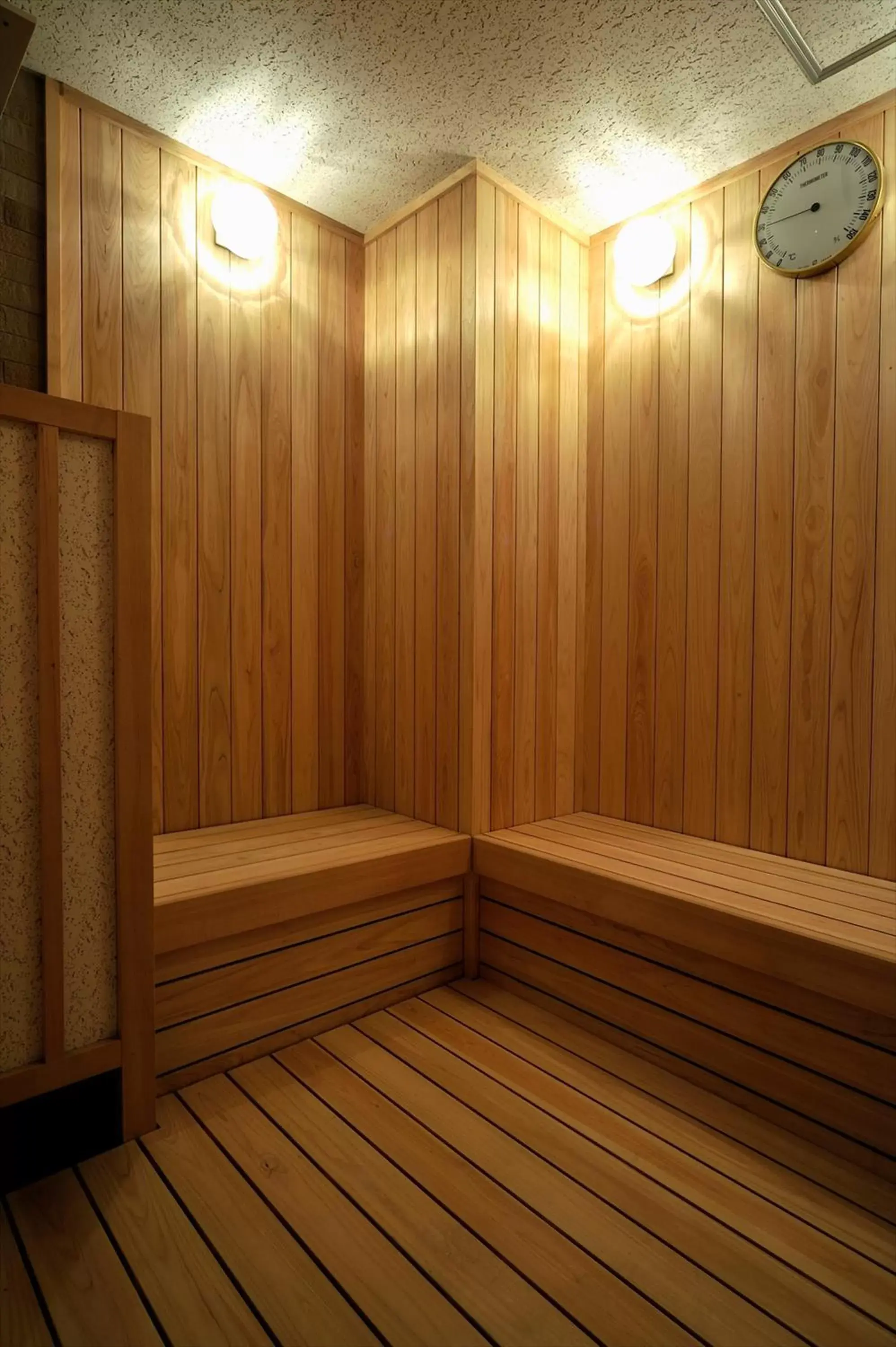 Sauna in Green Rich Hotel Iwakuni Ekimae (Artificial hot spring Futamata Yunohana)