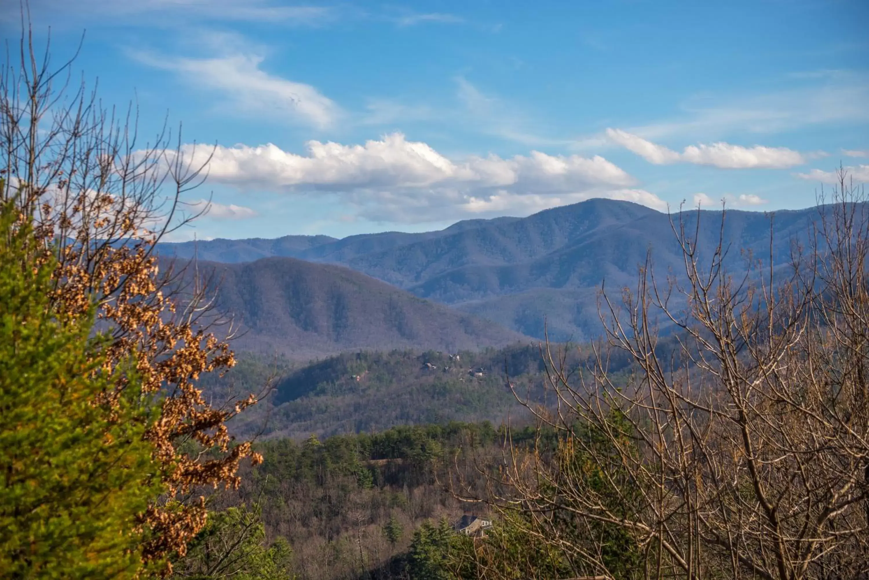 Mountain View in Sandy's Sanctuary