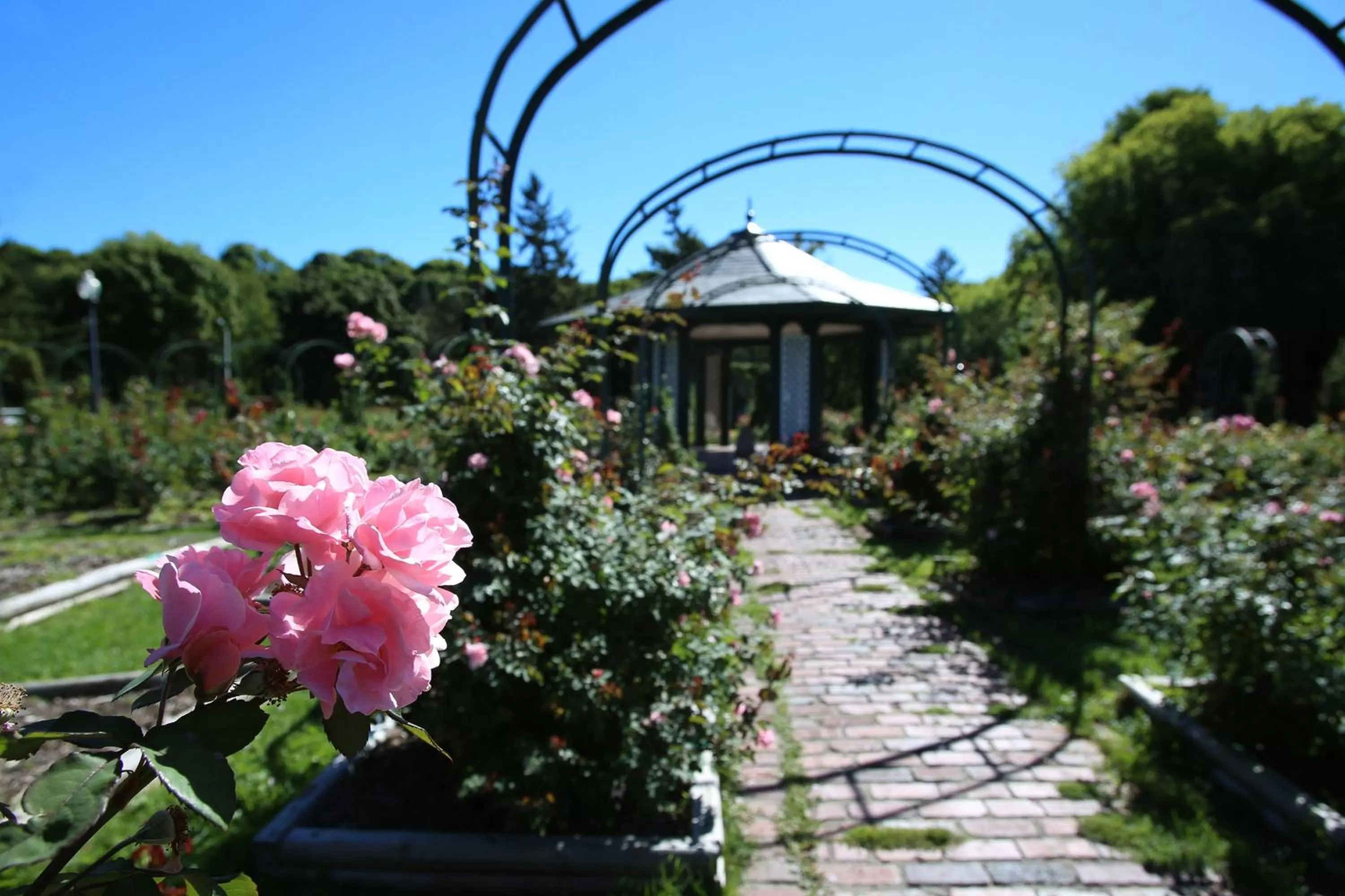 Area and facilities in Crowne Plaza Syracuse by IHG