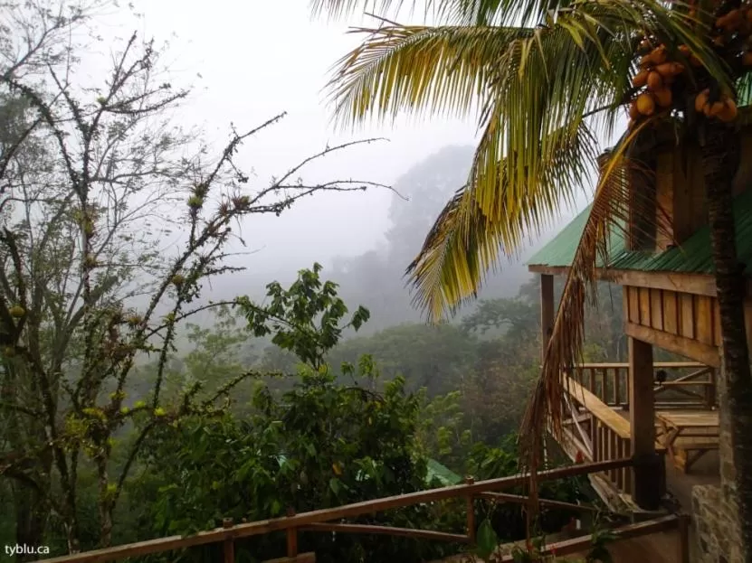 Natural landscape in Utopia Eco Hotel