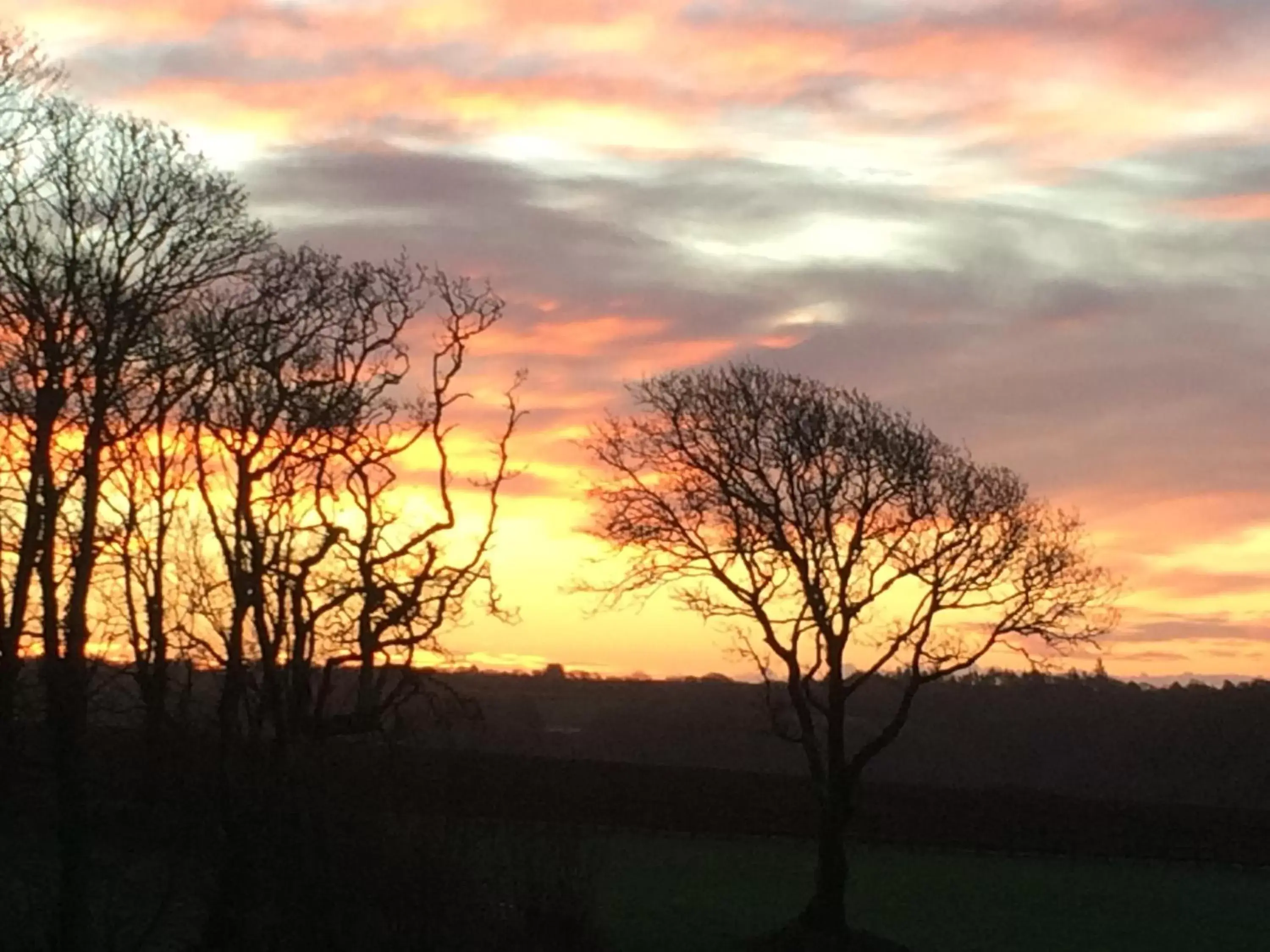 Garden view, Sunrise/Sunset in Beggars Reach Hotel