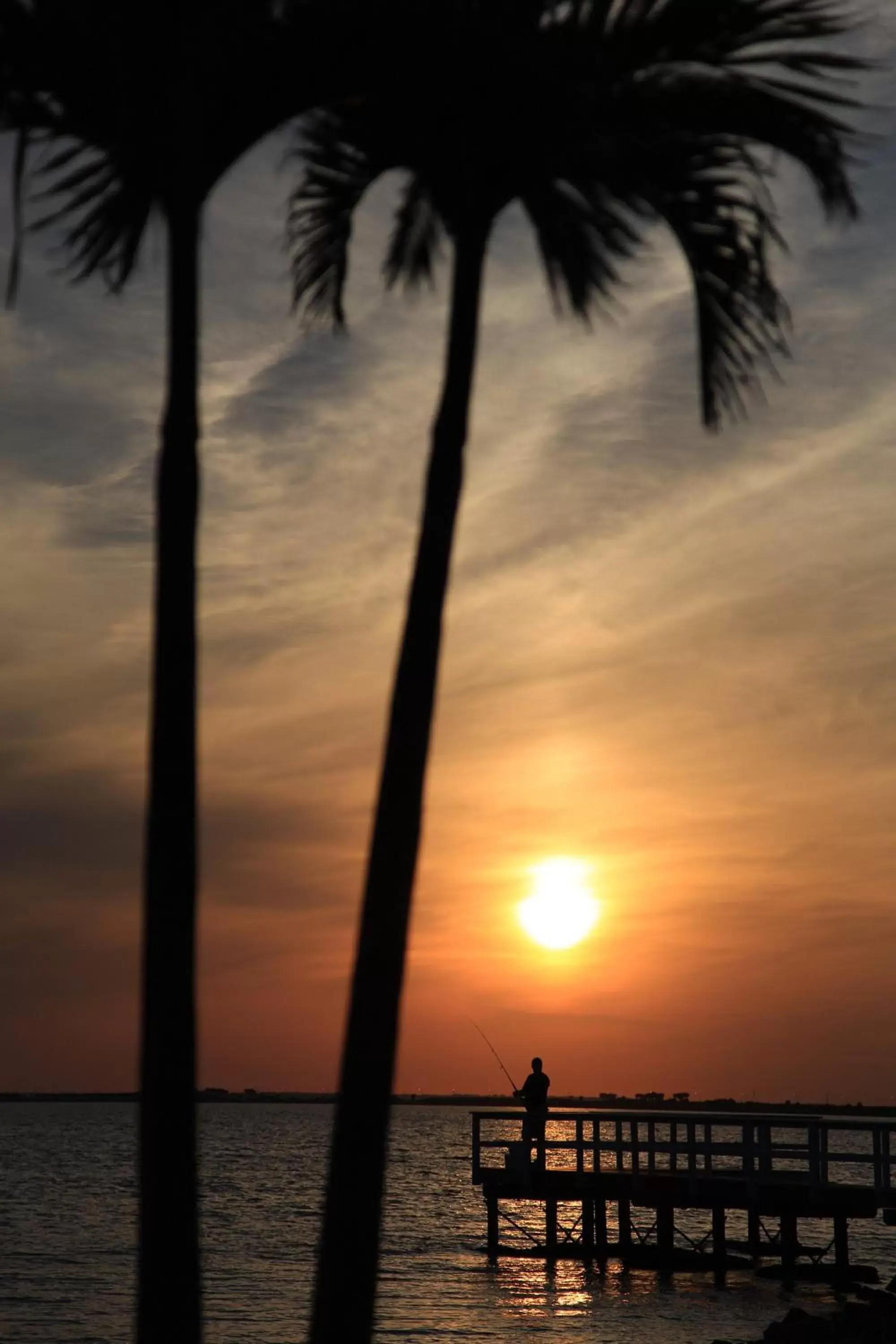 Fishing, Sunrise/Sunset in Sailport Waterfront Suites