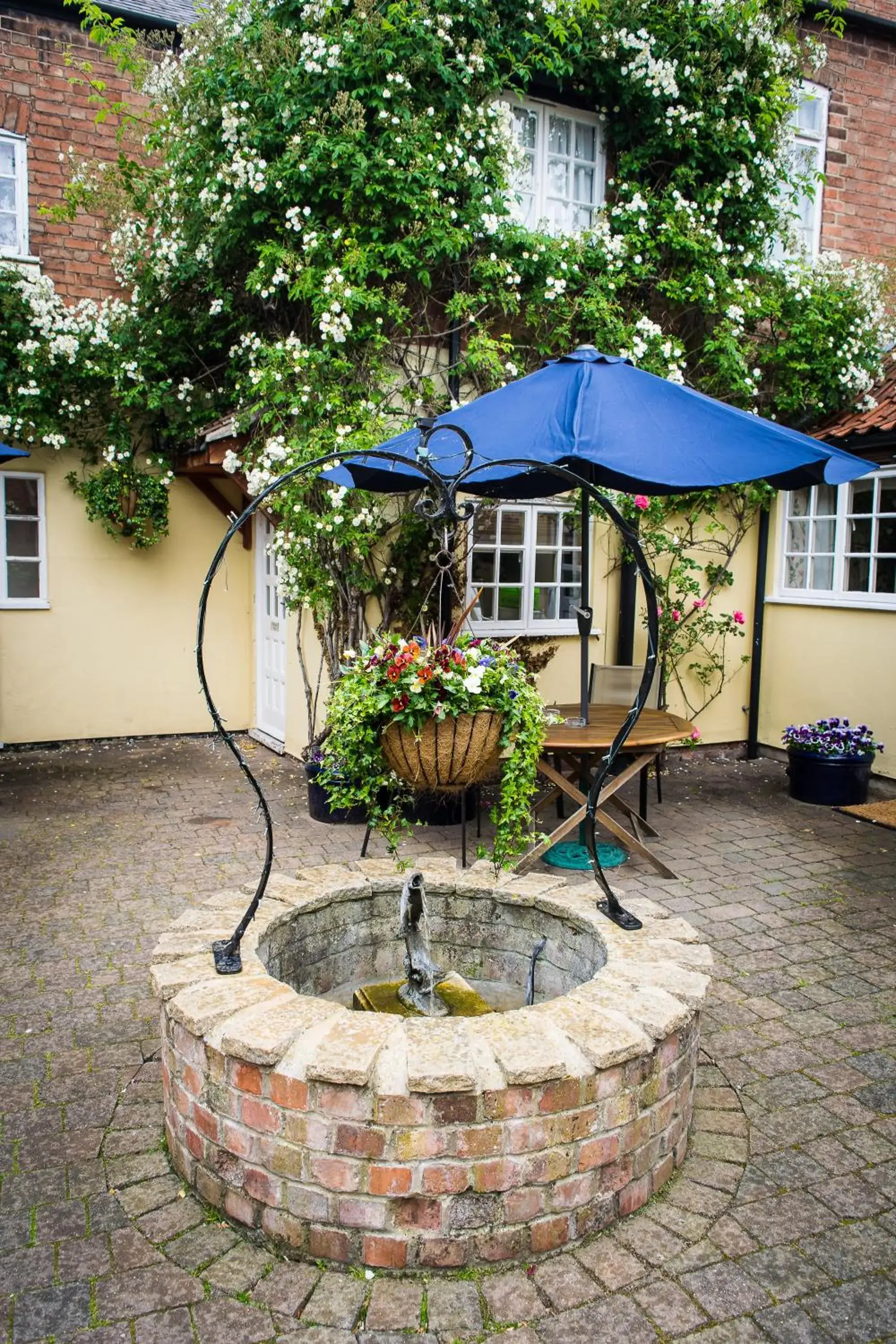 Garden in The Cottage Hotel