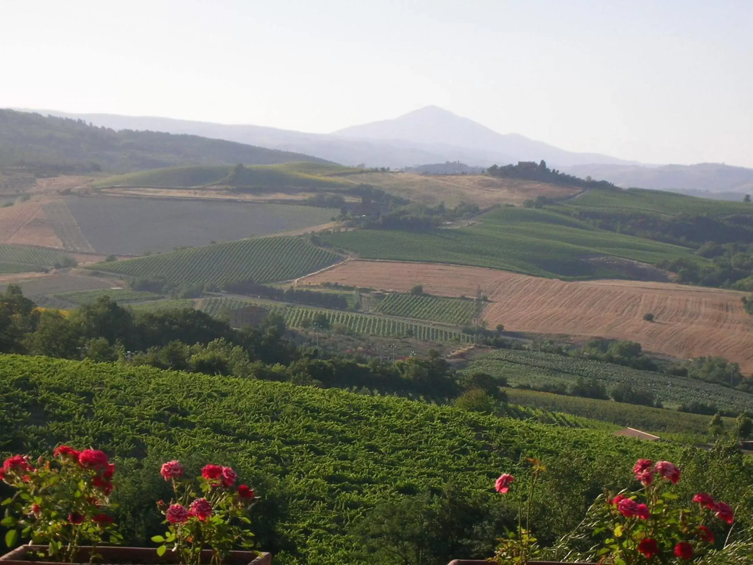 View (from property/room), Bird's-eye View in Altarocca Wine Resort Adults Only