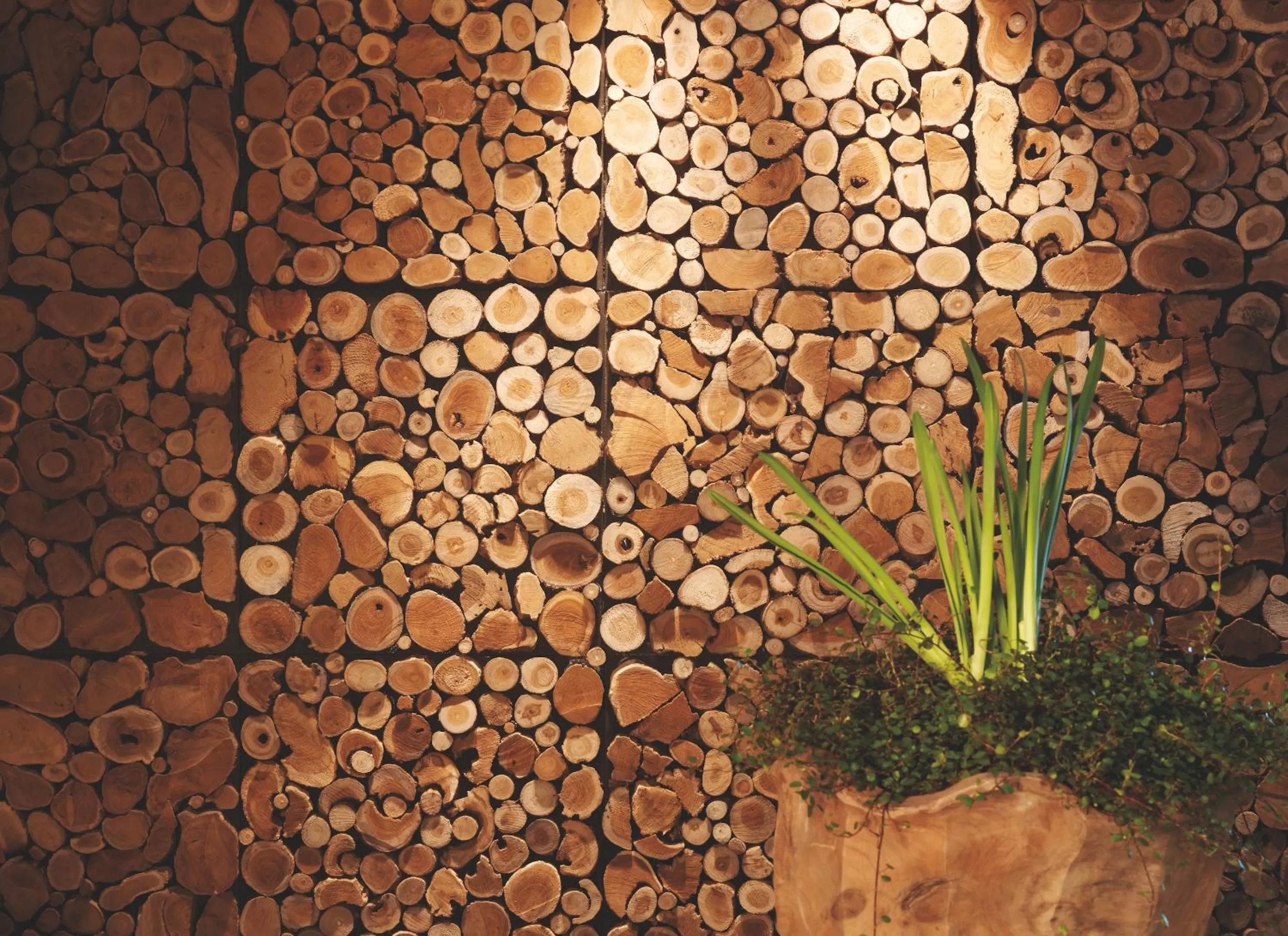 On site in Eco & Wellness Boutique Hotel Sonne