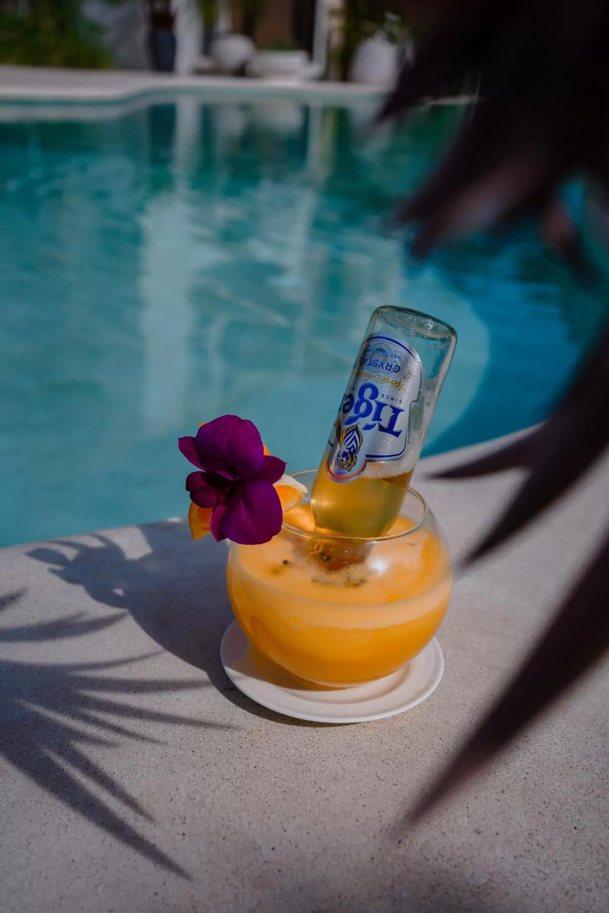 Lounge or bar in Montagne Residence Lounge or bar in Montagne Residence