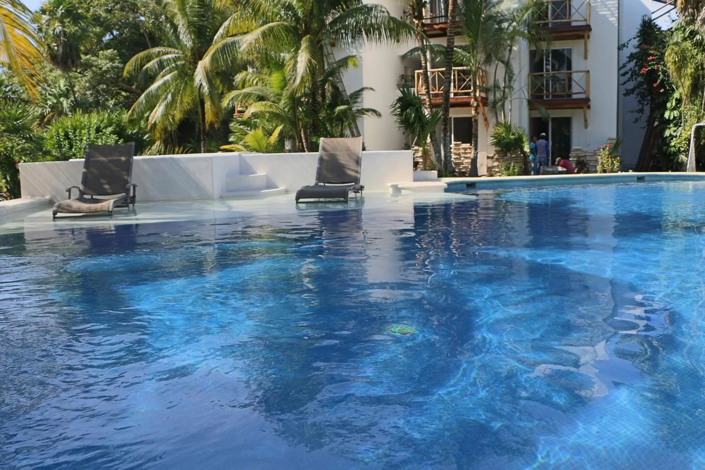 Other, Swimming Pool in WishTulum