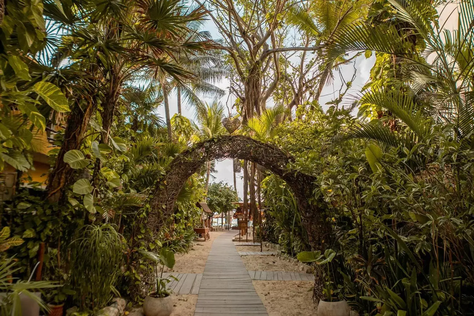 Garden in Hotel Colibri Beach