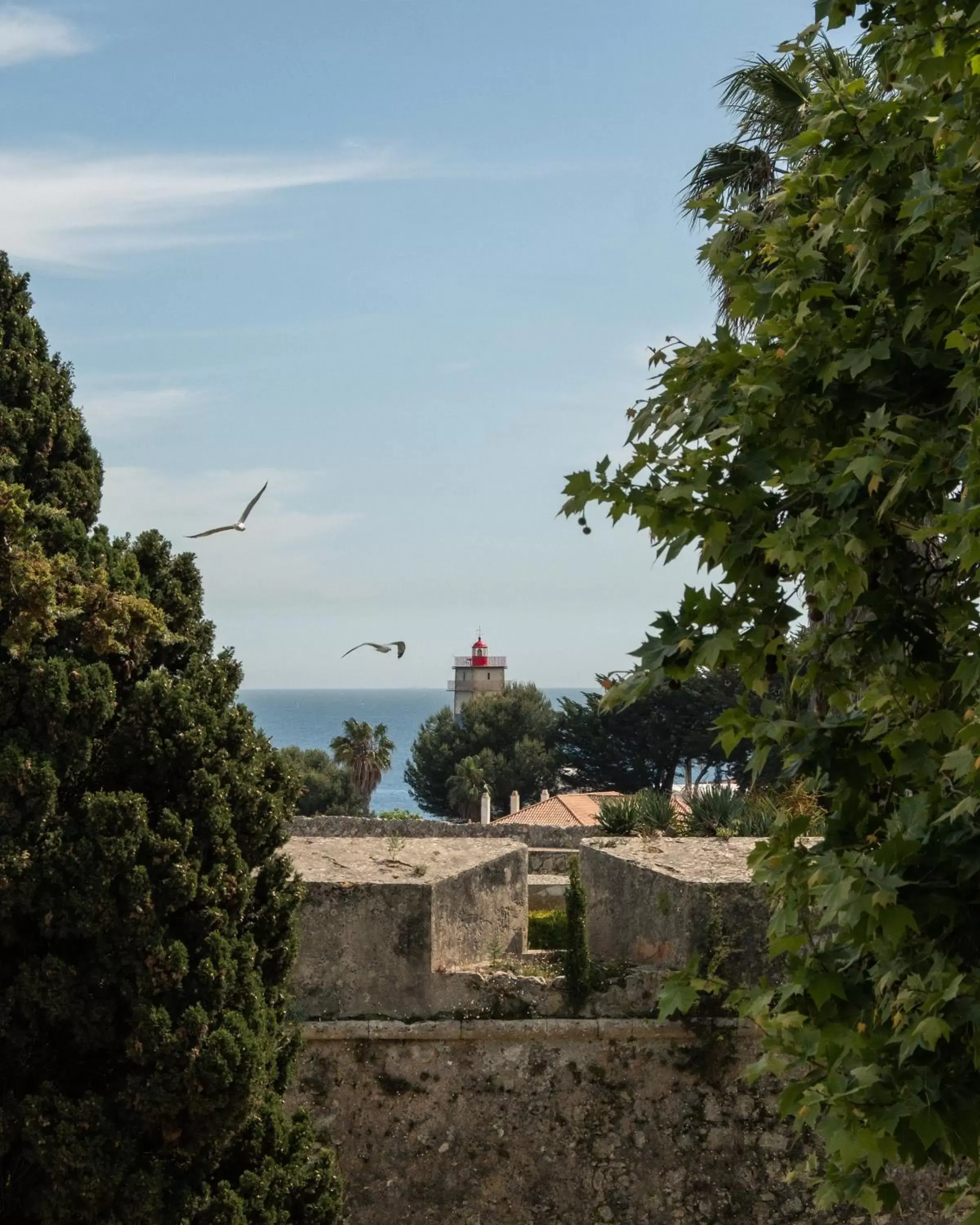 Landmark view in Artsy Cascais