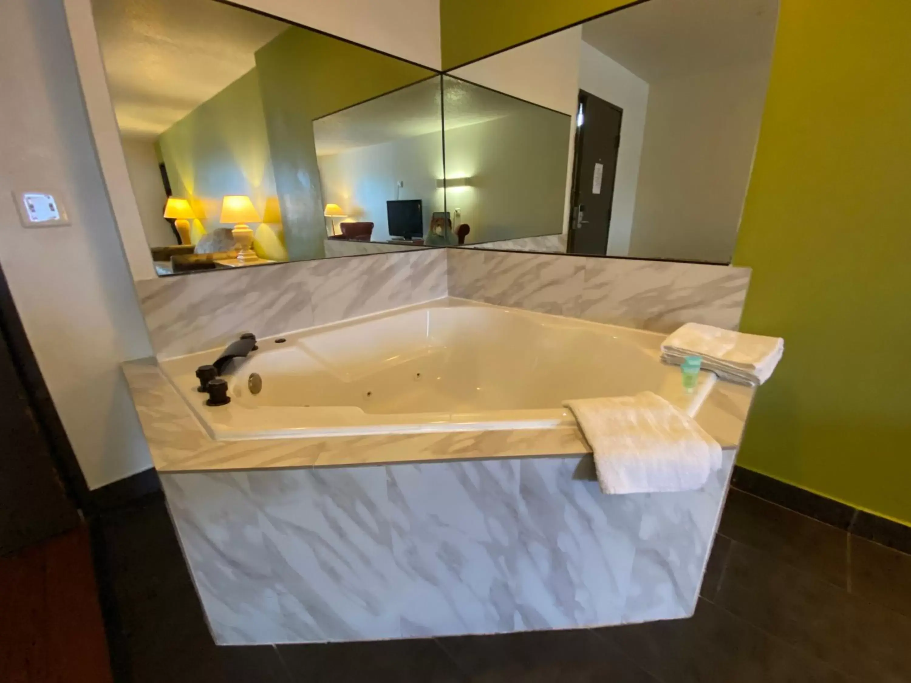 Hot Tub, Bathroom in Skylight Inn Cleveland Willoughby